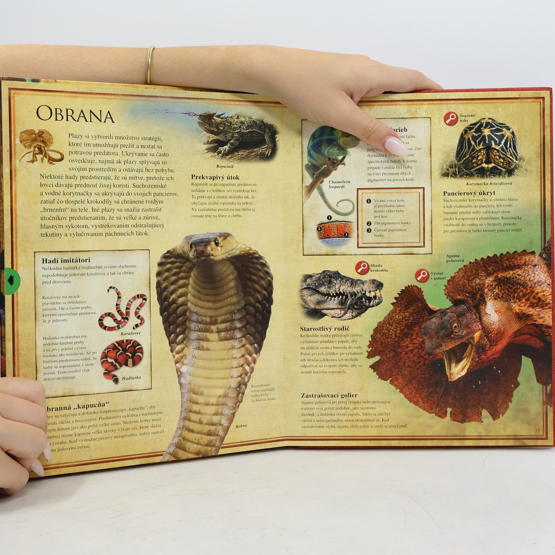 Various authors Plazy. Zoznámte sa zblízka s neobyčajným svetom plazov