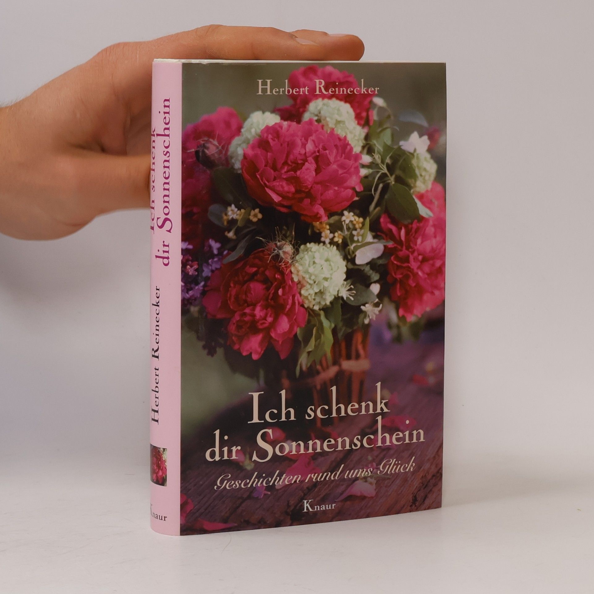 Herbert Reinecker Ich schenk dir Sonnenschein
