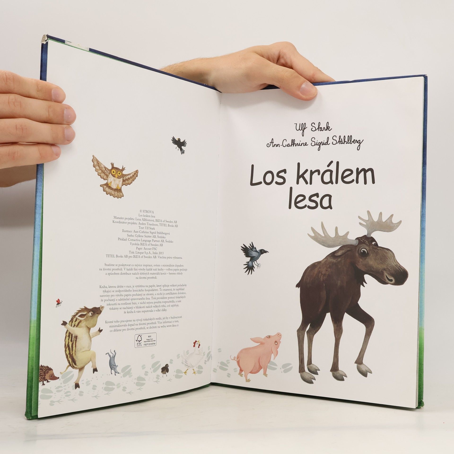 Ikea Los králem lesa