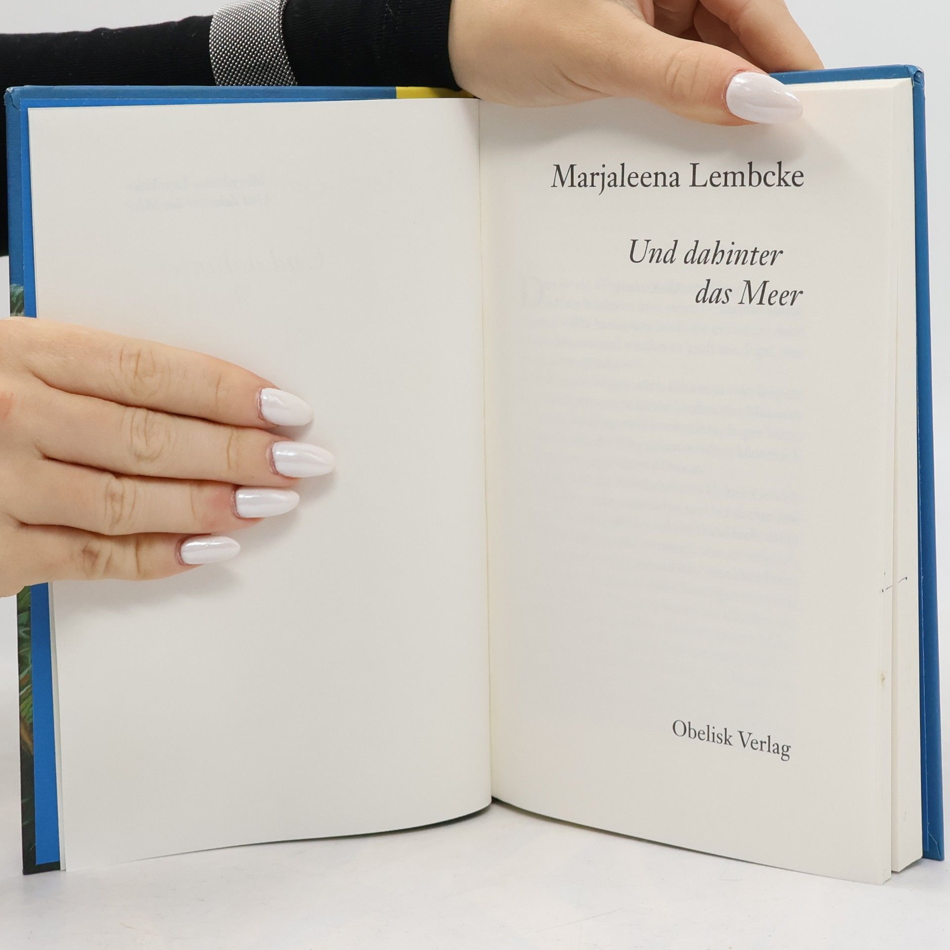 Marjaleena Lembcke Und dahinter das Meer