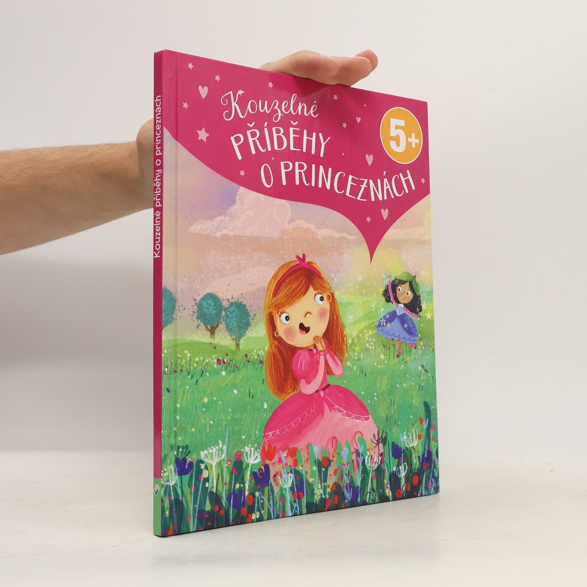 Luise Holthausen Kouzelné příběhy o princeznách