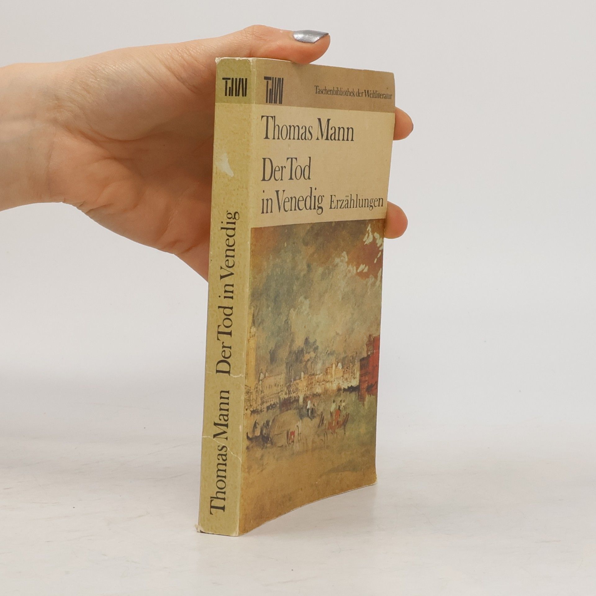 Thomas Mann Der Tod in Venedig