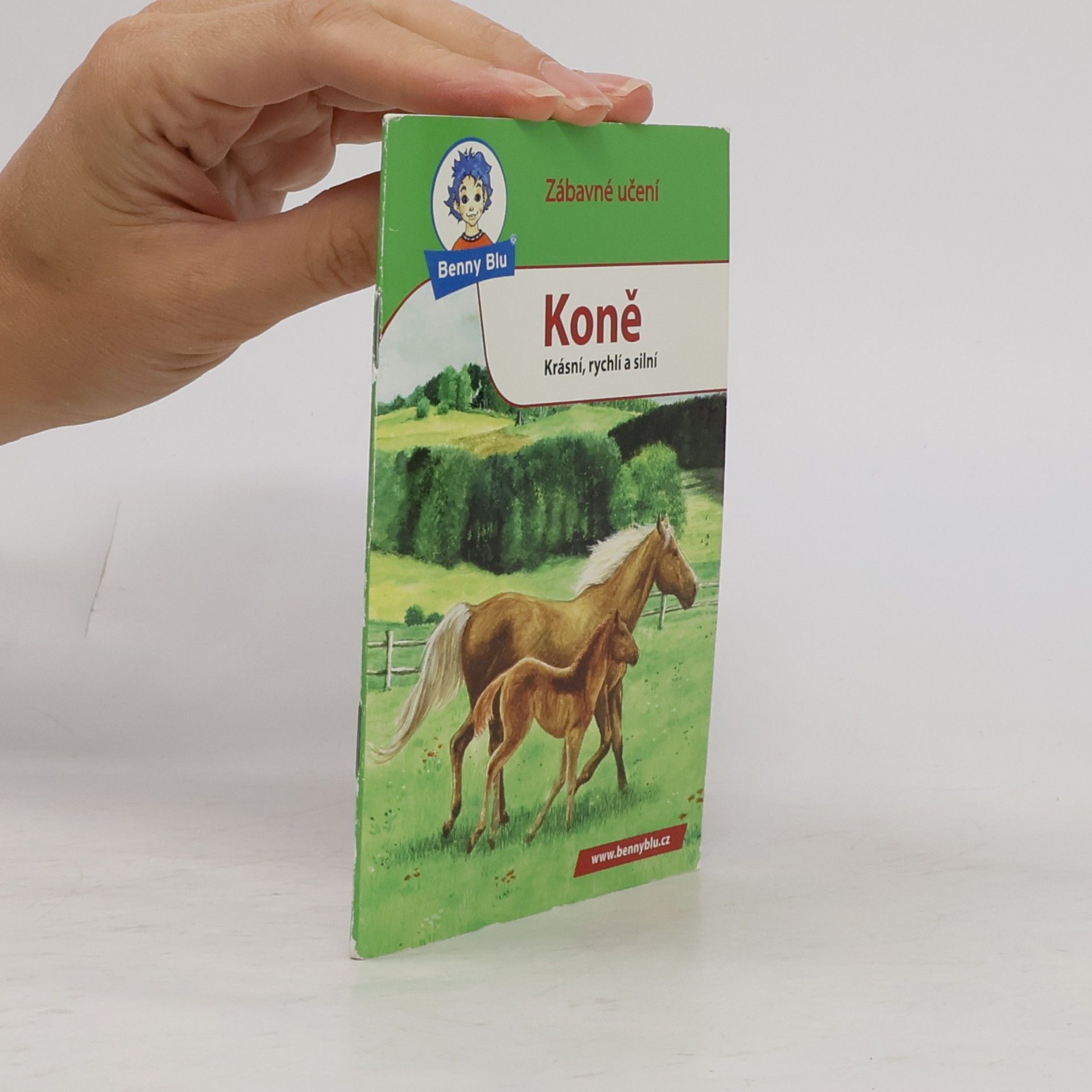 KarlHeinz Höllering Koně : krásní, rychlí a silní