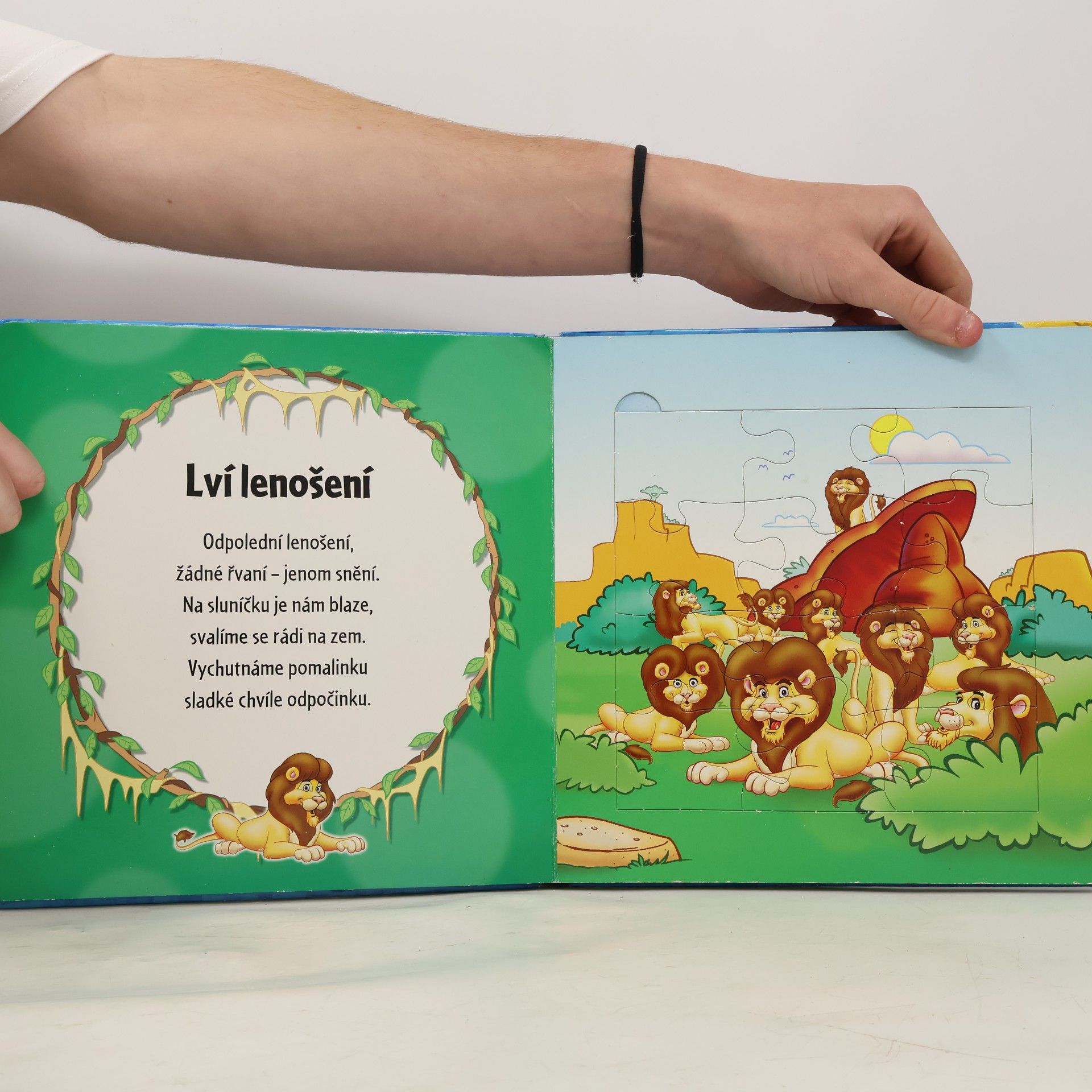Autorenkollektiv Safari : 5 puzzle