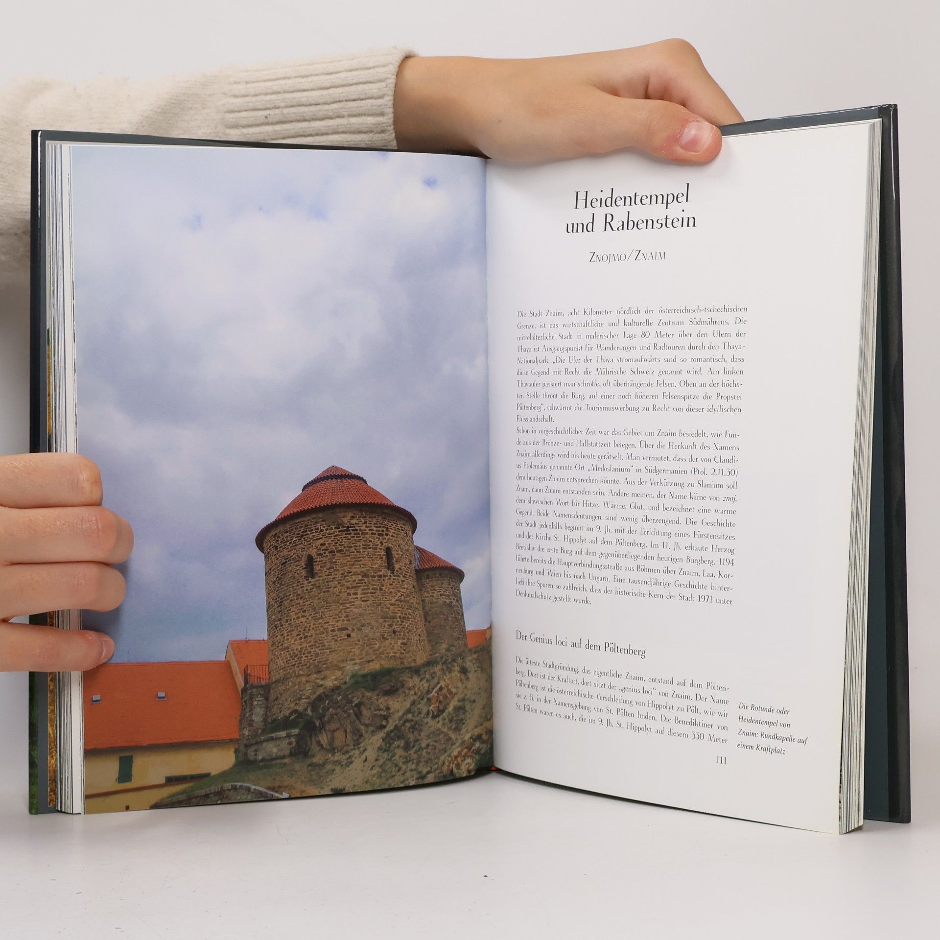 Gabriele Lukacs Kraftorte im Weinviertel