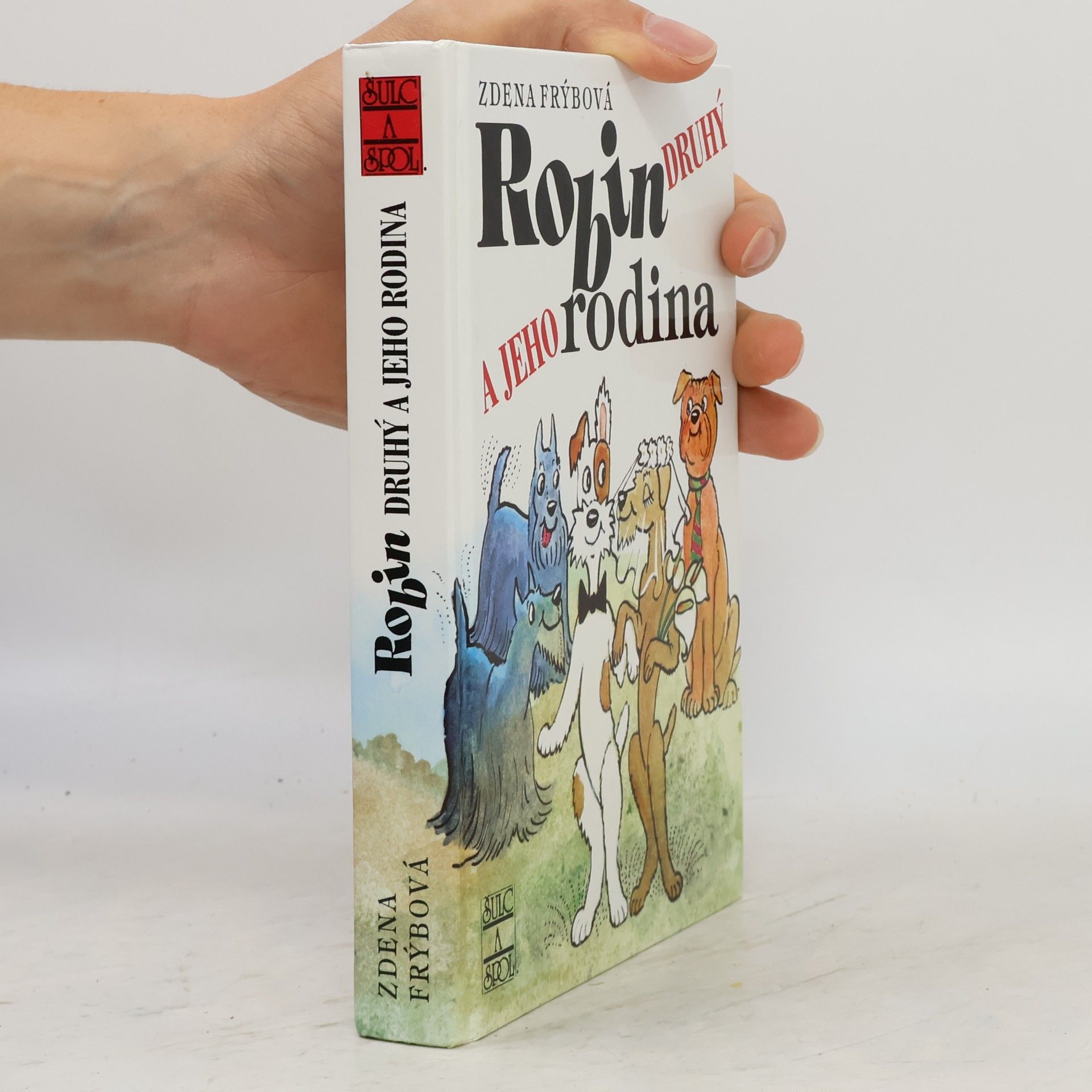 Zdena Frýbová Robin Druhý a jeho rodina