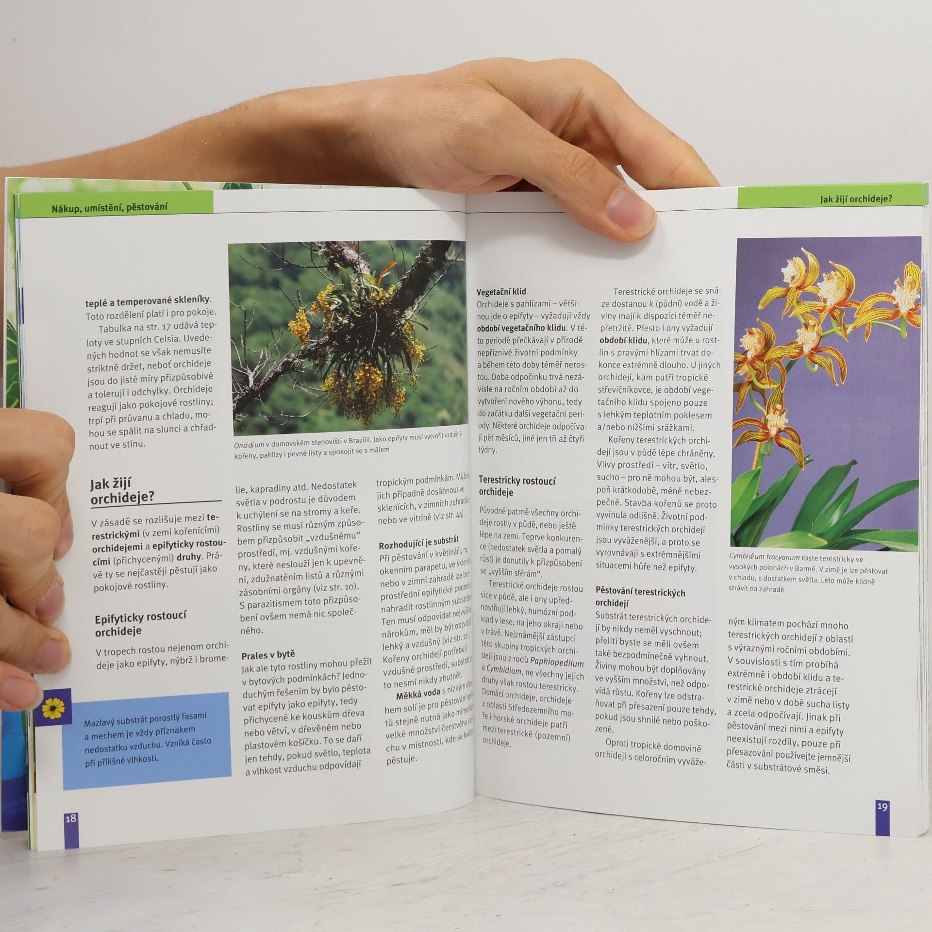 Jörn Pinske Orchideje : nejkrásnější druhy a hybridy : výběr, pěstování