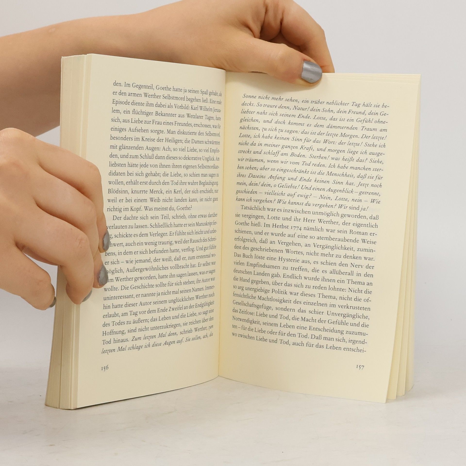 Otto A. Böhmer Der junge Herr Goethe