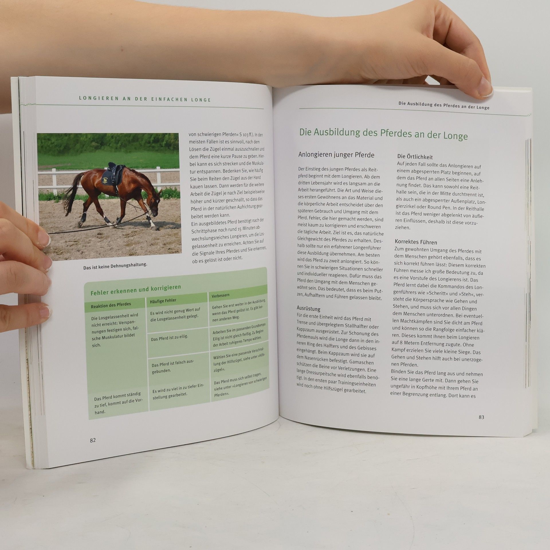 Rainer Hilbt BLV Pferde & Reiten: Longieren