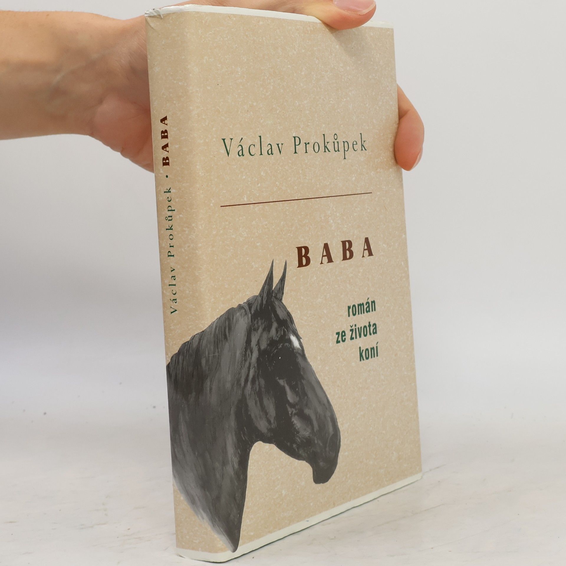 Václav Prokůpek Baba
