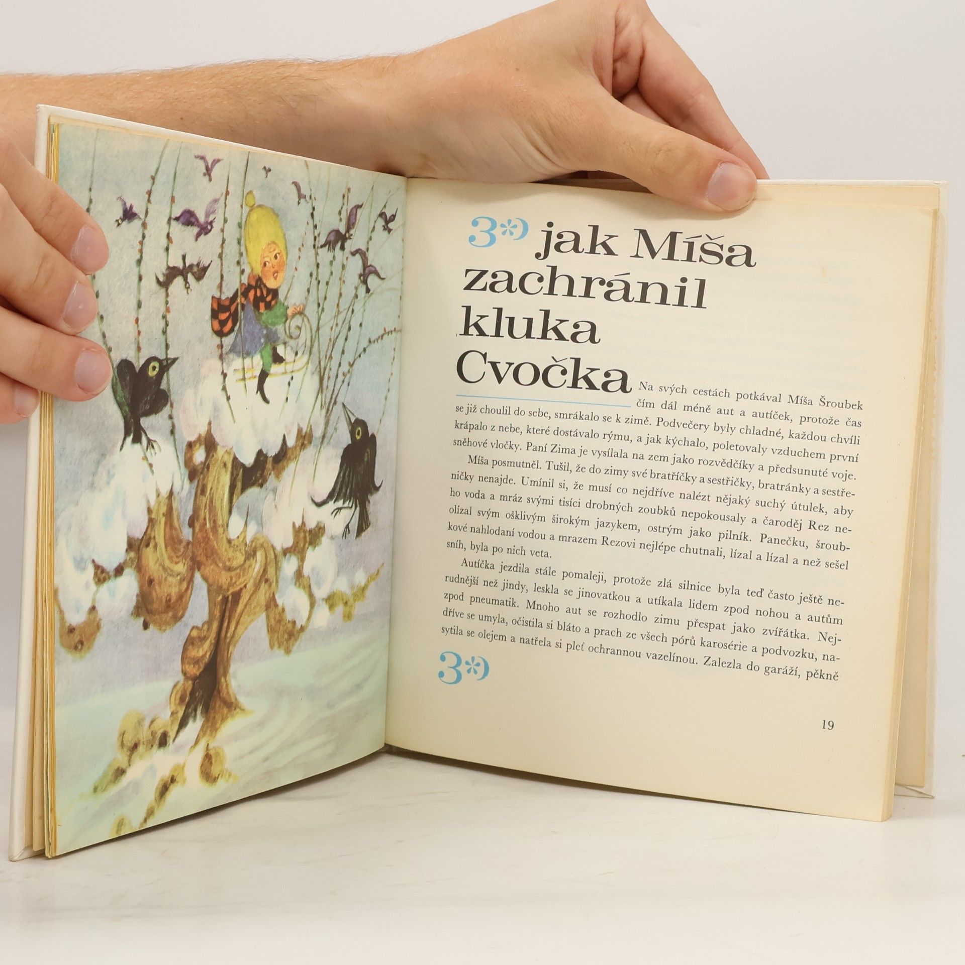 Alois Joneš Jak se Míša ztratil a zase našel