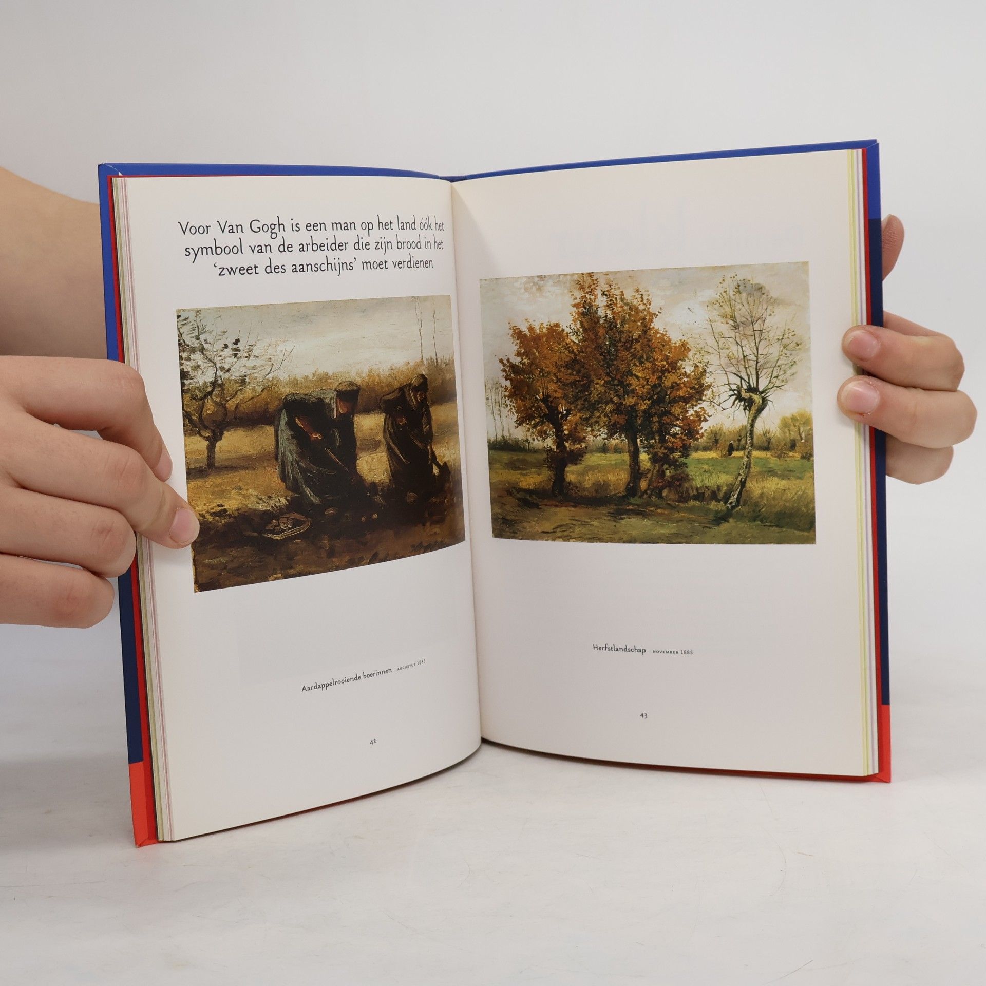 Hans den Hartog Jager The Essential Van Gogh