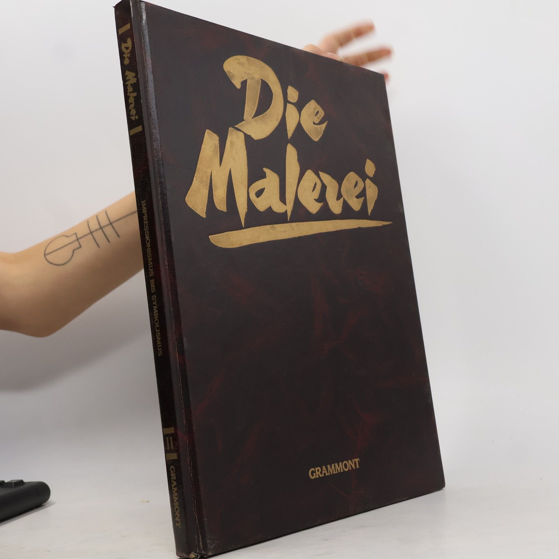 Werner Schabert Die Malerei 11. Impressionismus bis Symbolismus