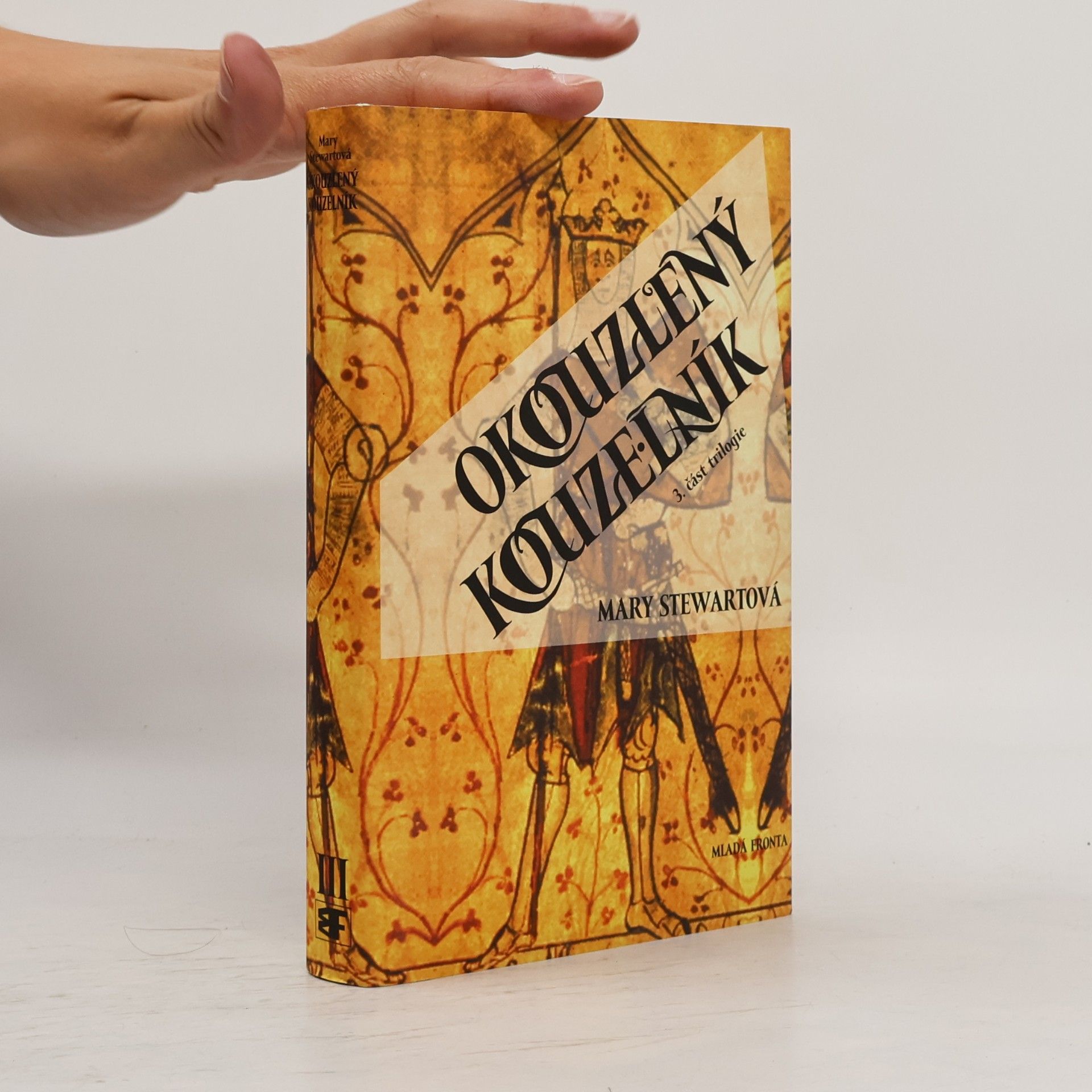 Mary Stewart Okouzlený kouzelník