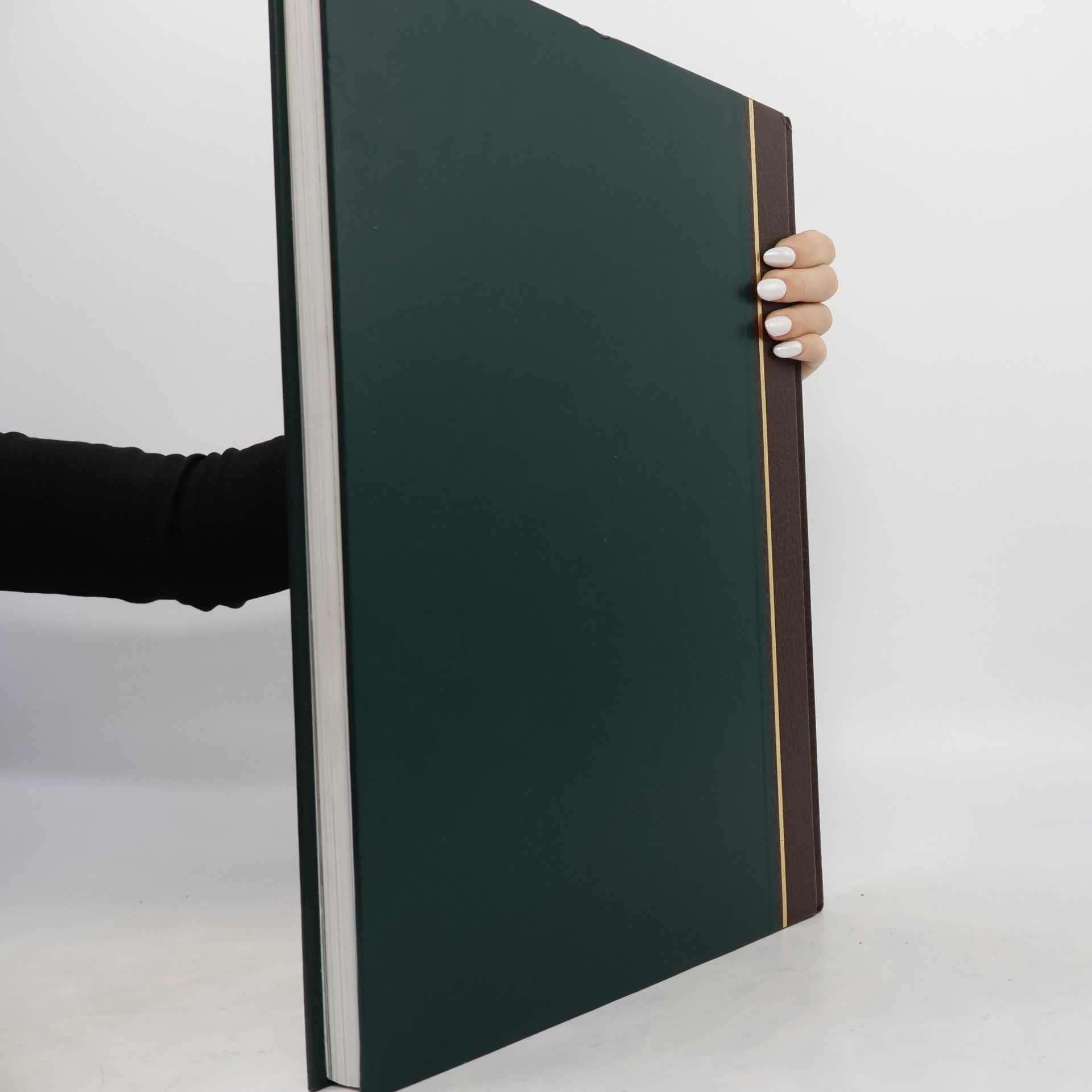 Kolektiv autorů Readers Digest Welt Atlas