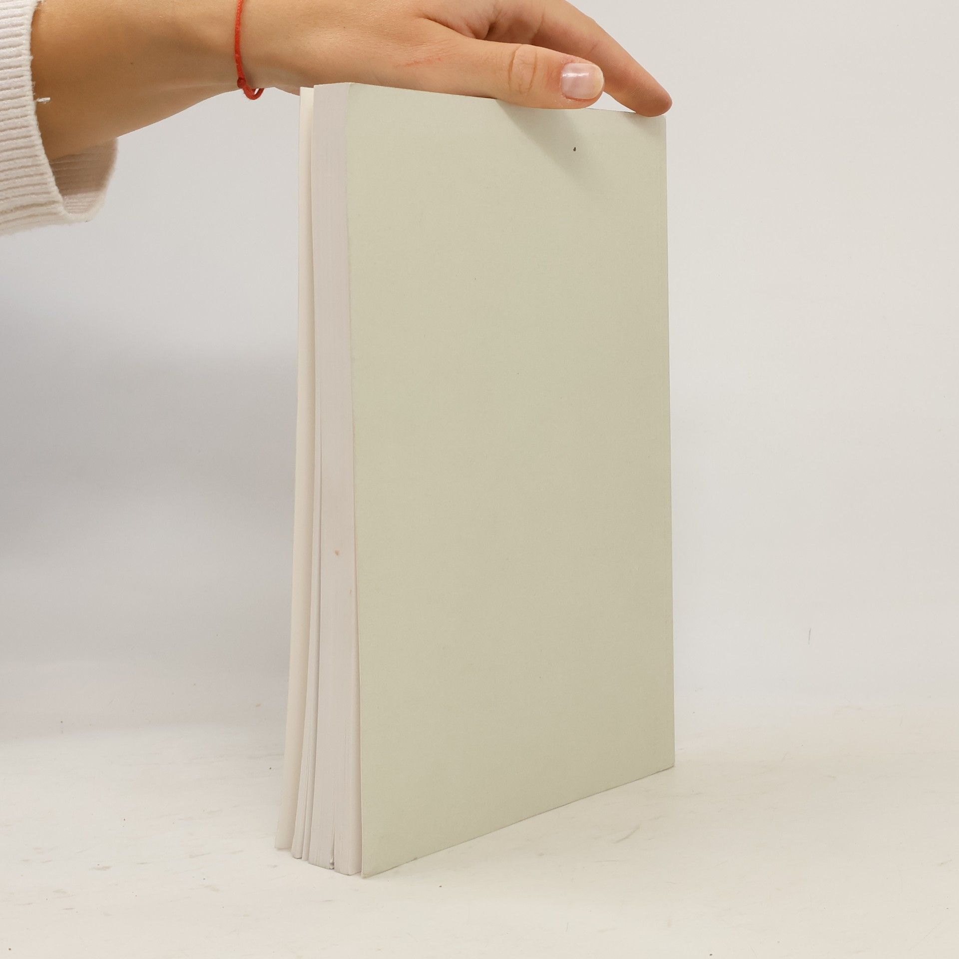 Autorenkollektiv Individualversicherung Versicherungslehre 2