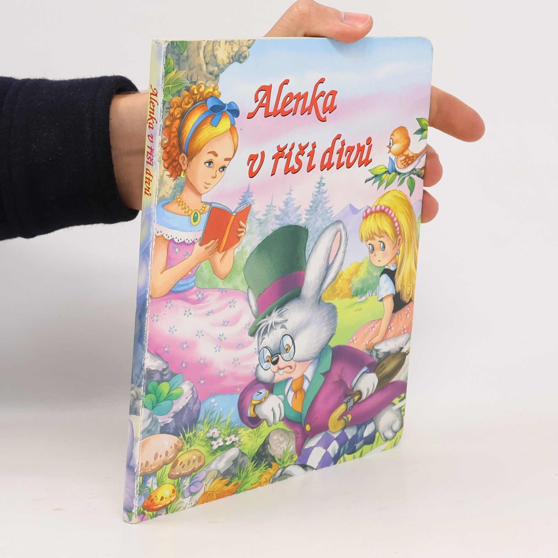 AA.VV. Alenka v říši divů