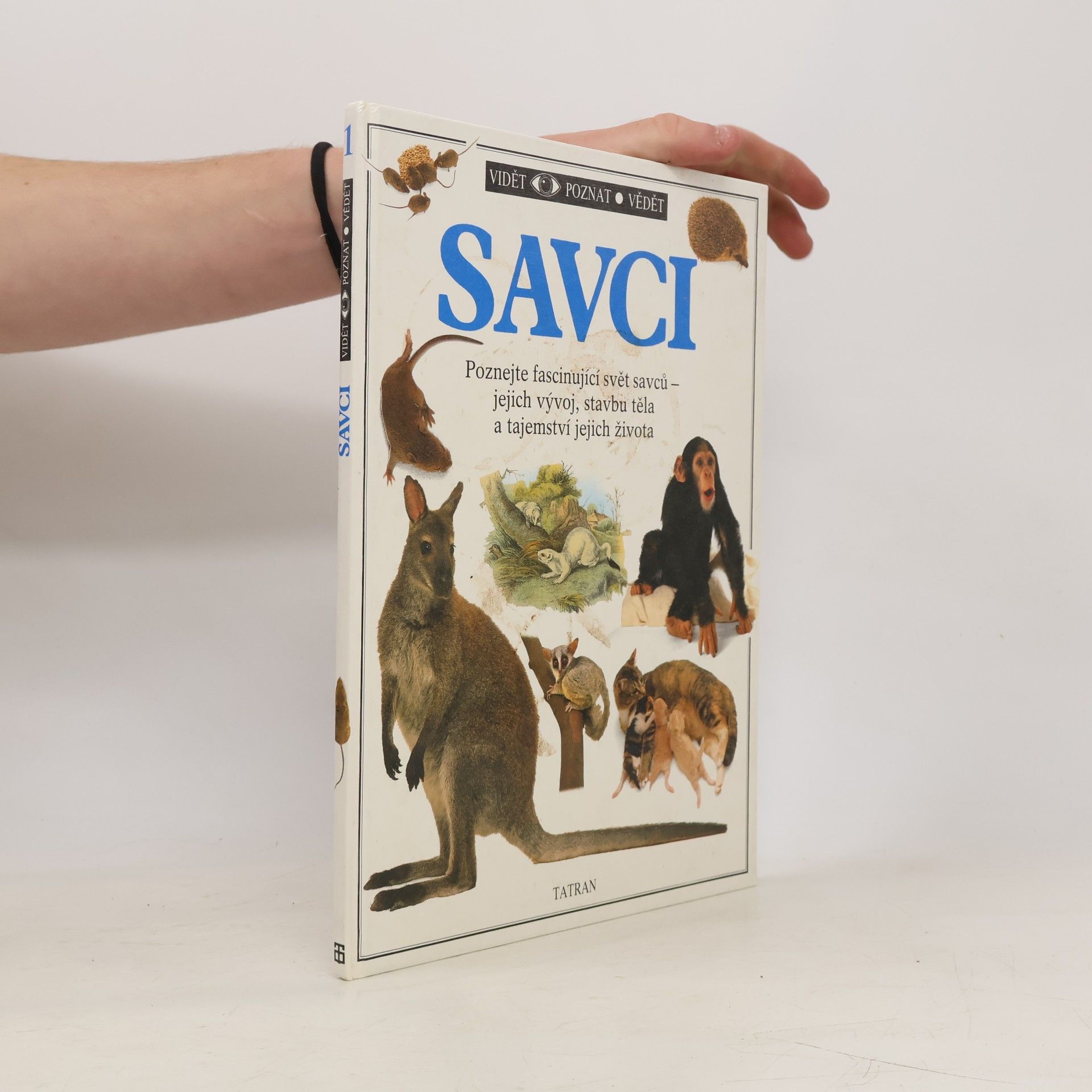Steve Parker Savci