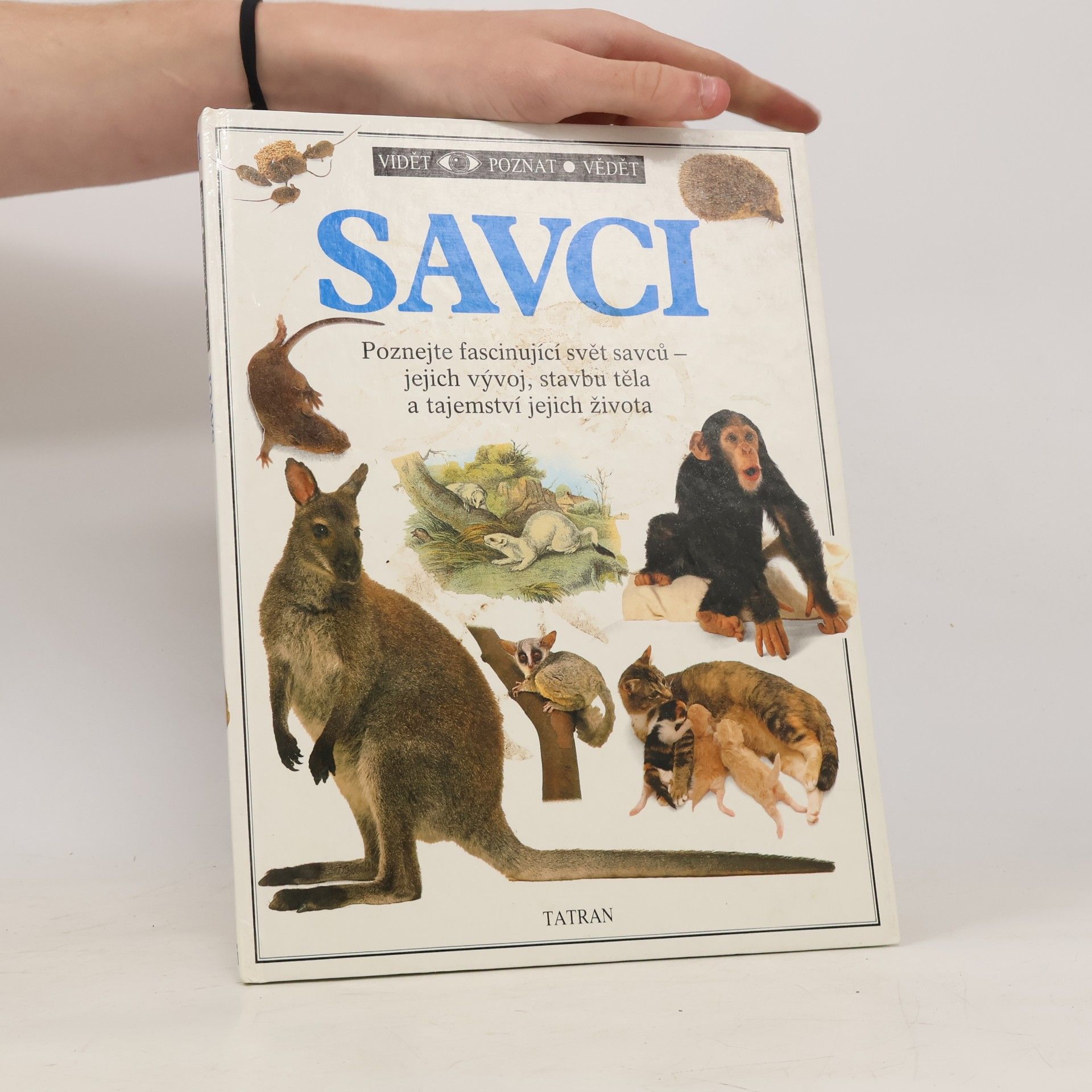 Steve Parker Savci