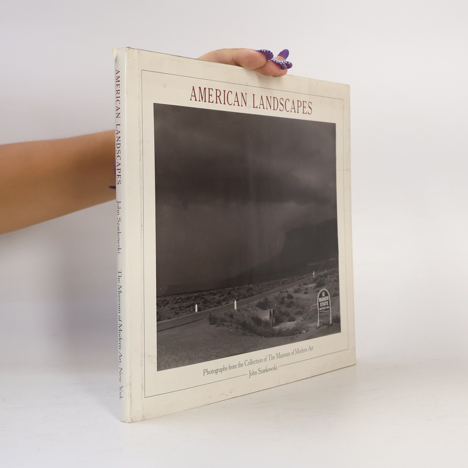 The Museum of Modern Art American Landscapes