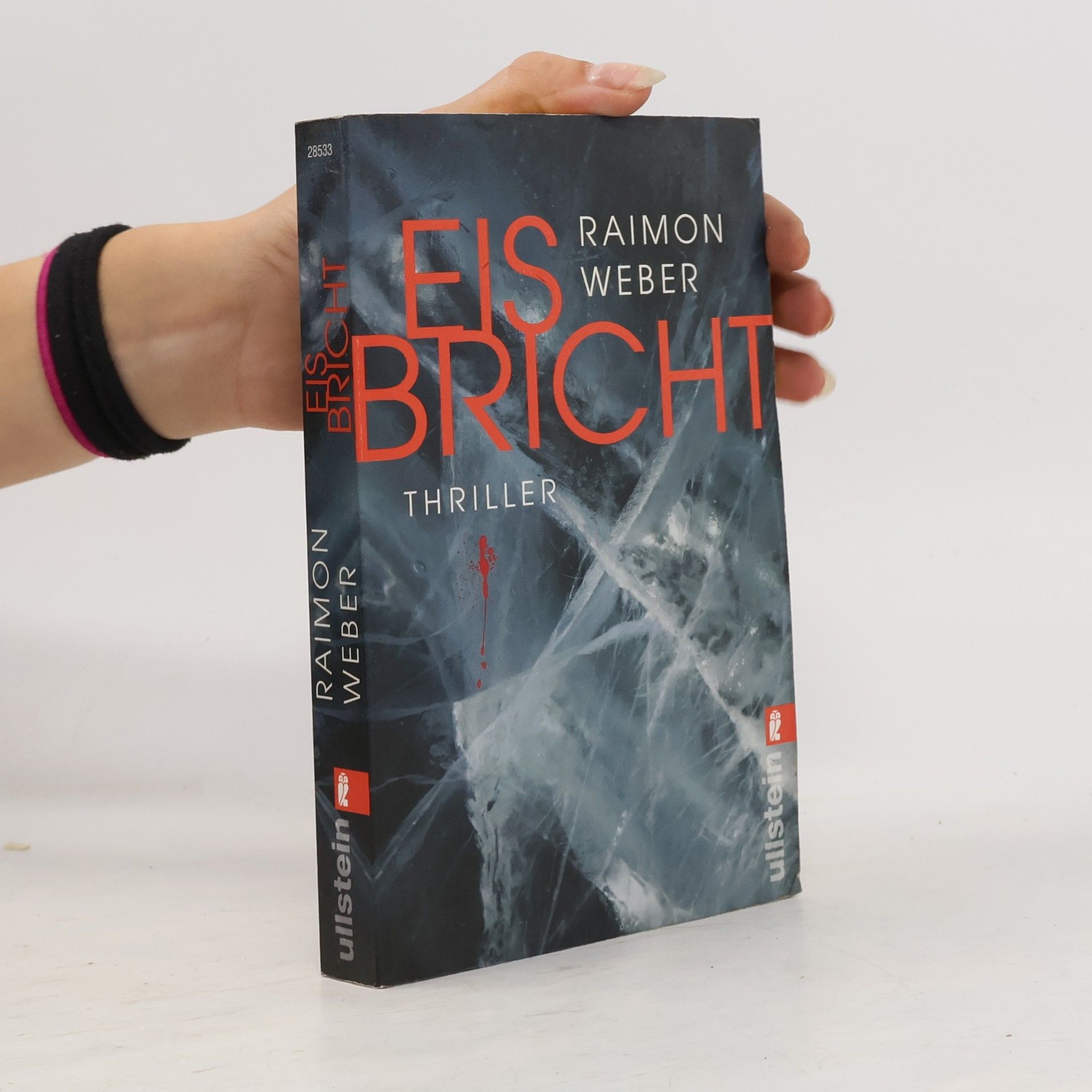 Raimon Weber Eis bricht