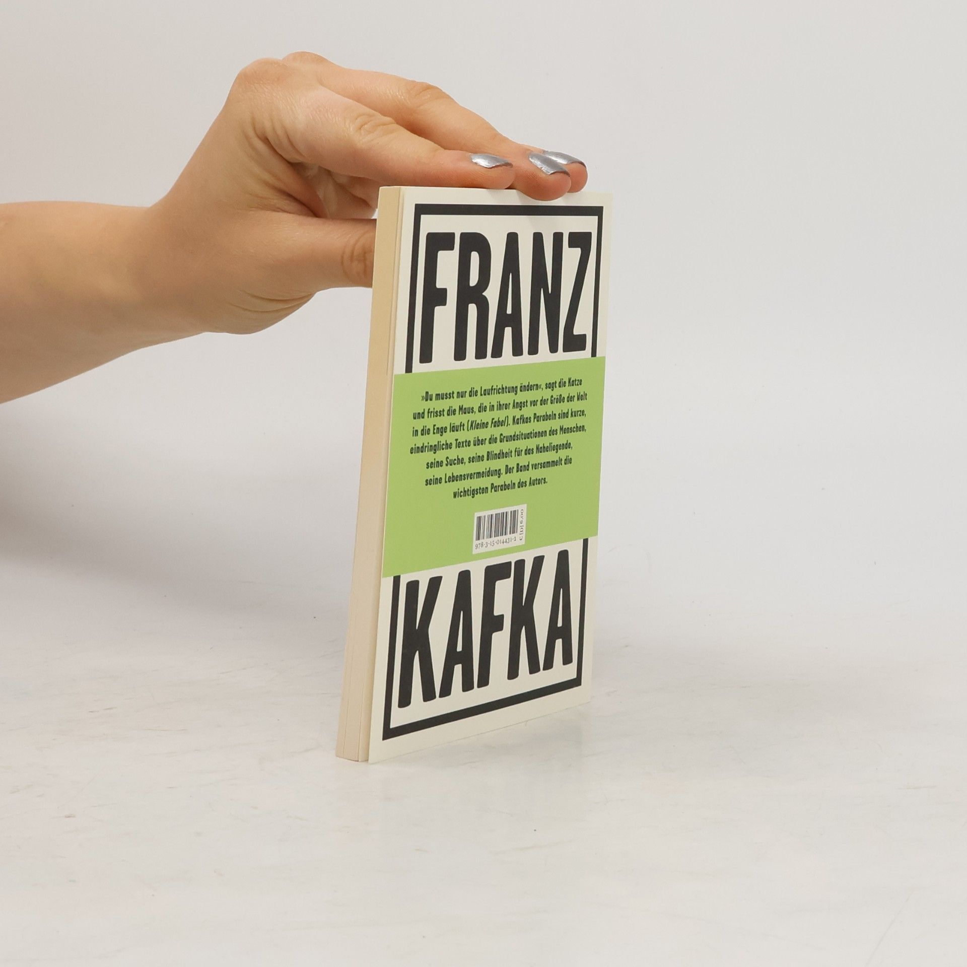 Franz Kafka Der Geier