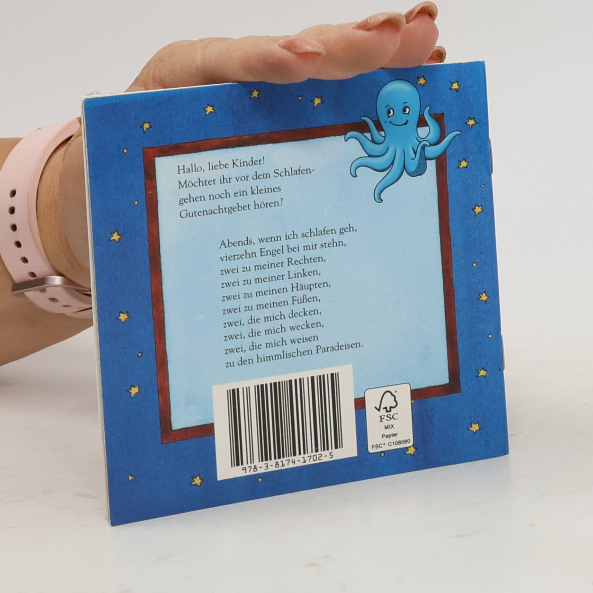 Autorenkollektiv Die Sternen-Prinzessin