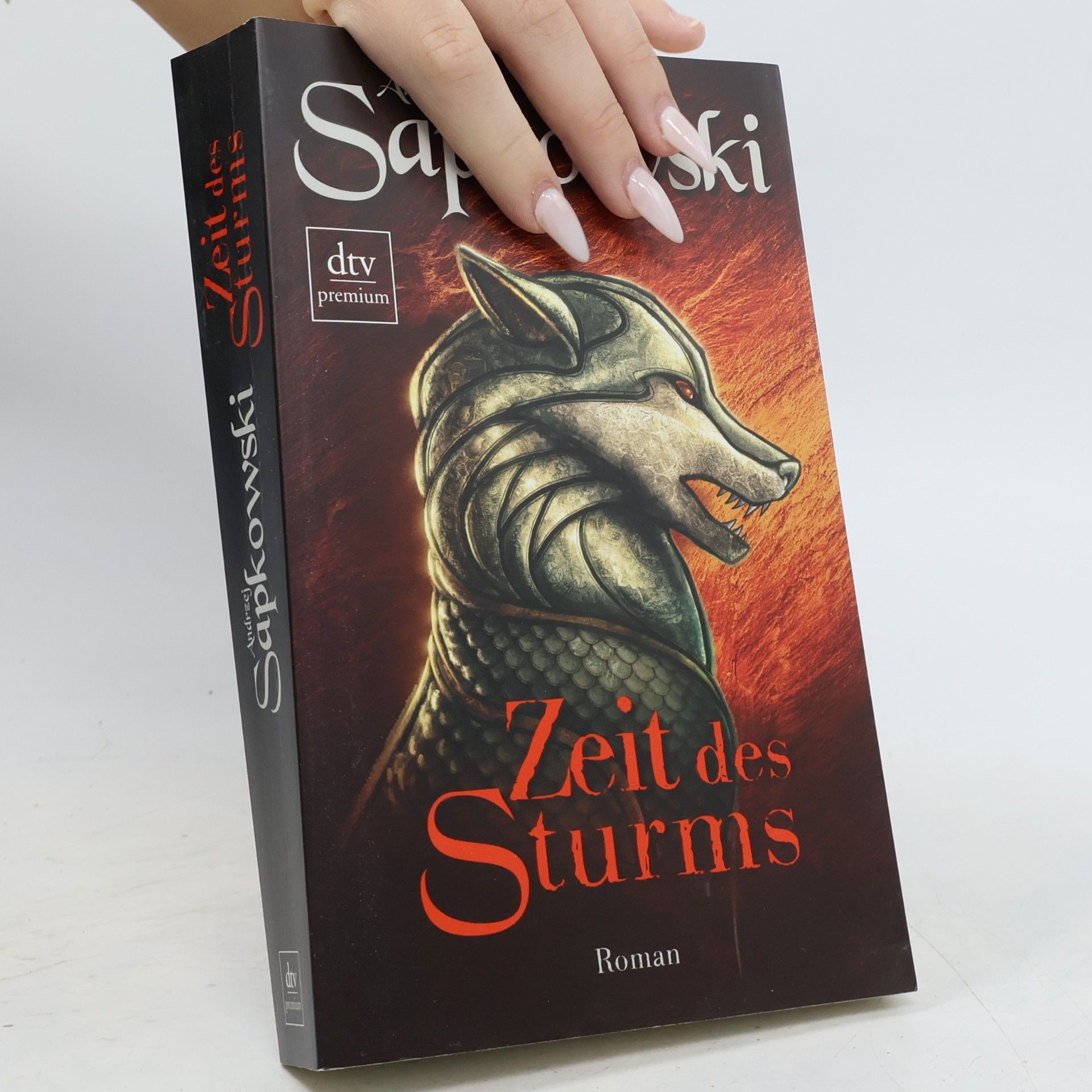 Andrzej Sapkowski Zeit des Sturms