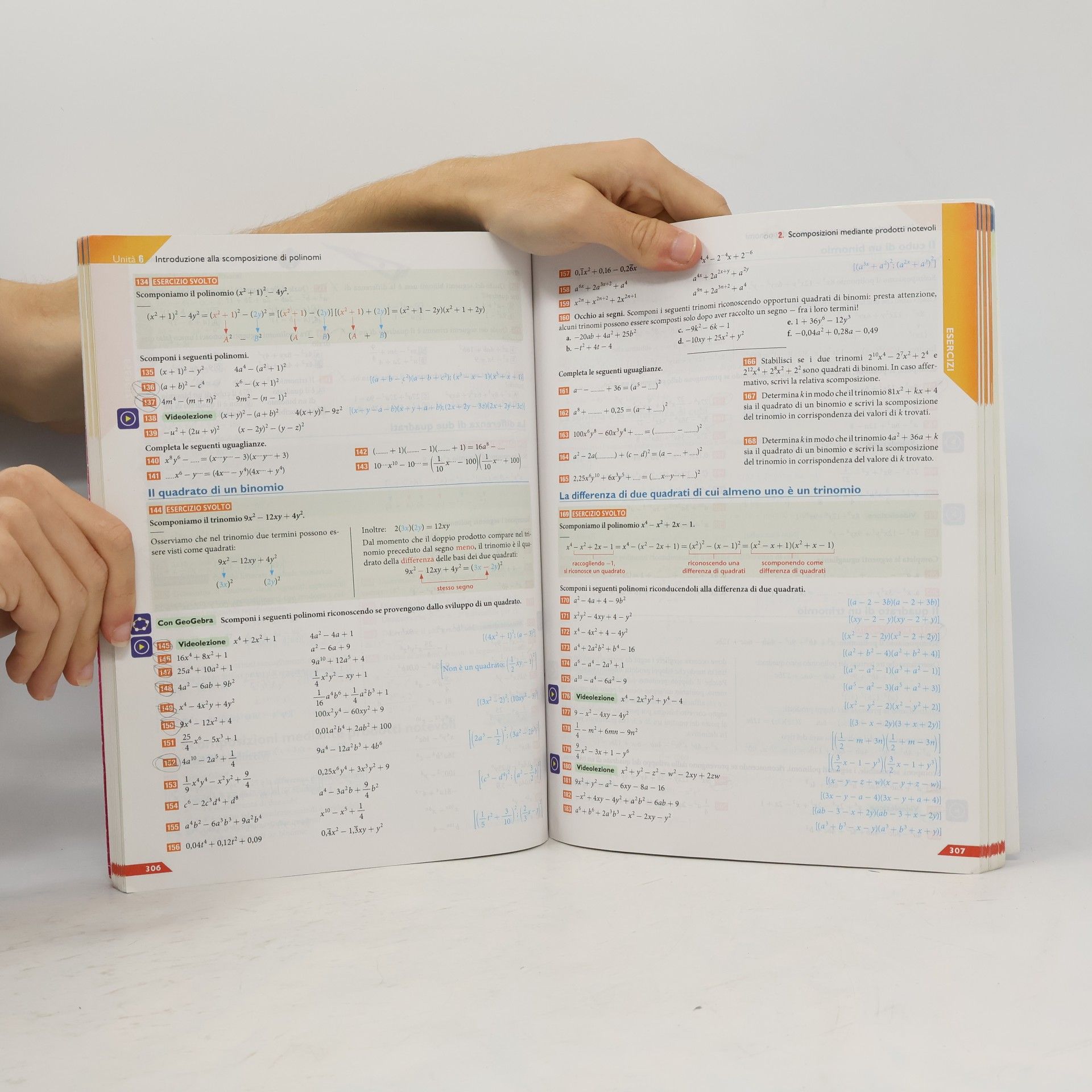 Leonardo Sasso Colori della matematica