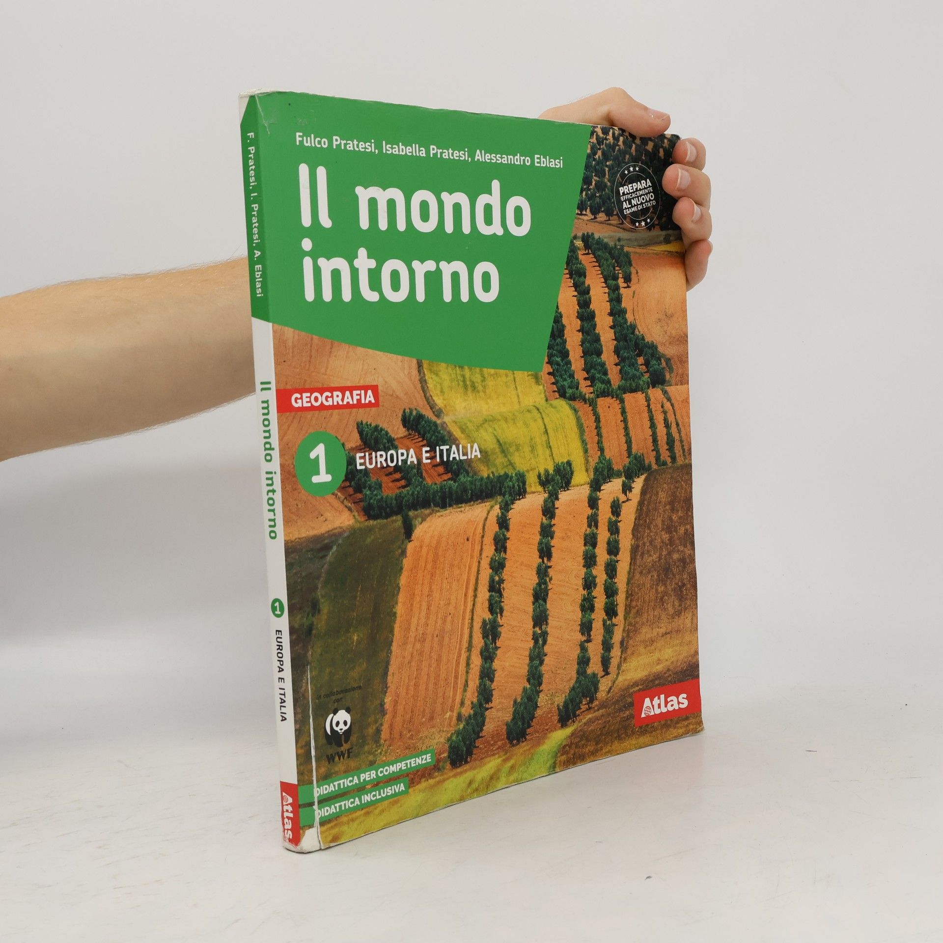 Isabella Pratesi Il mondo intorno