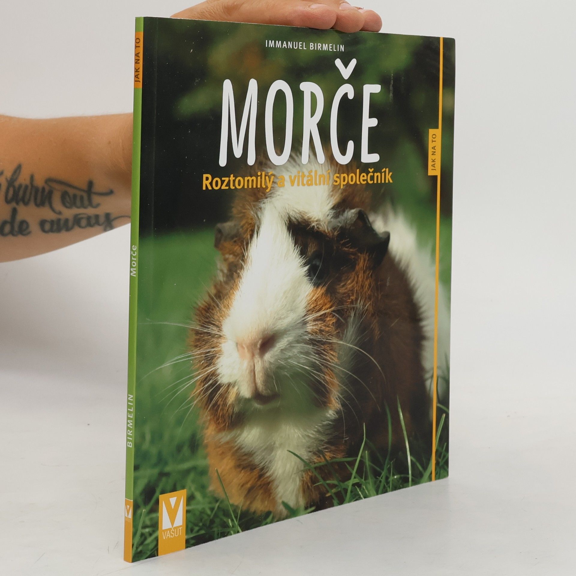 Immanuel Birmelin Morče. Roztomilý a vitální společník