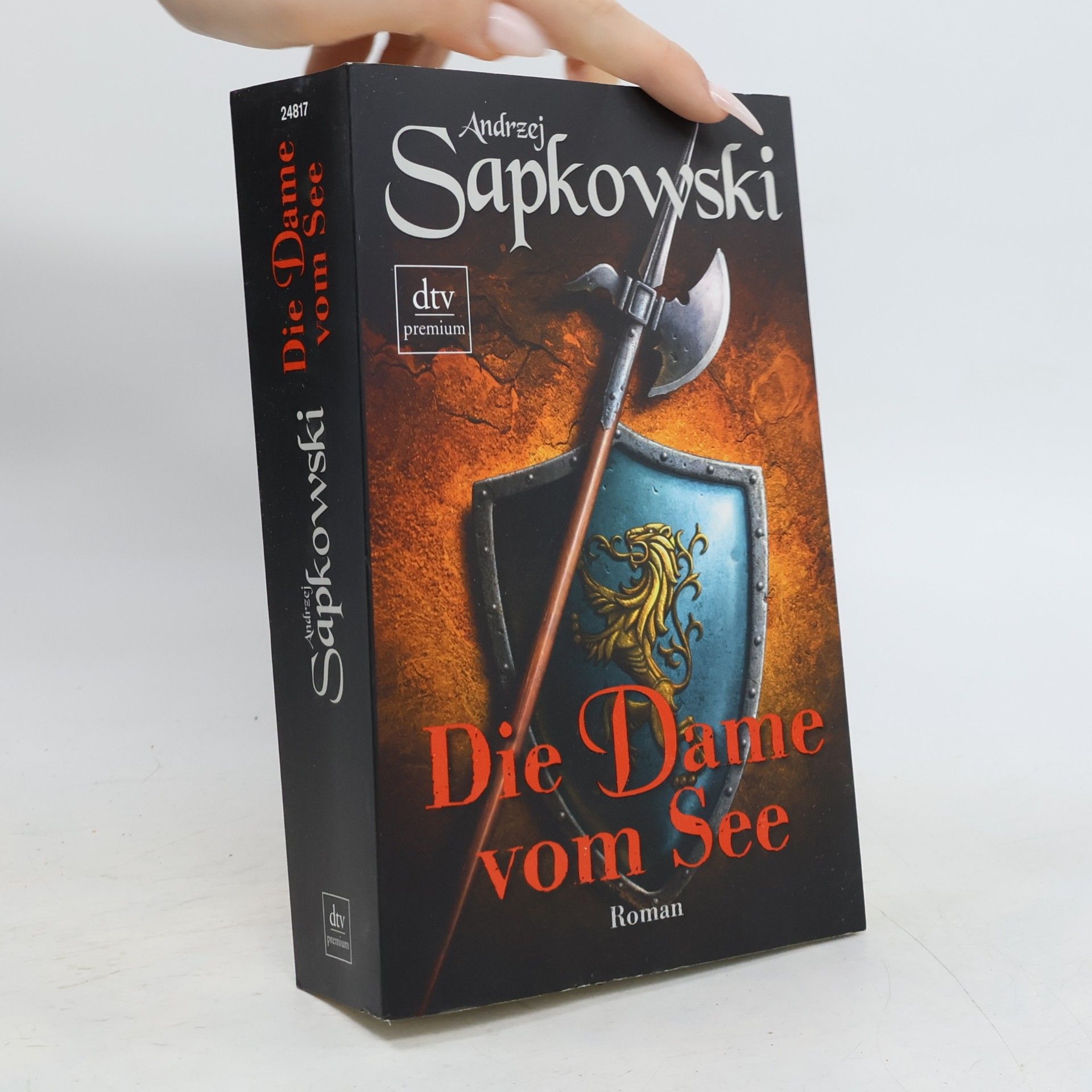Andrzej Sapkowski Die Dame vom See
