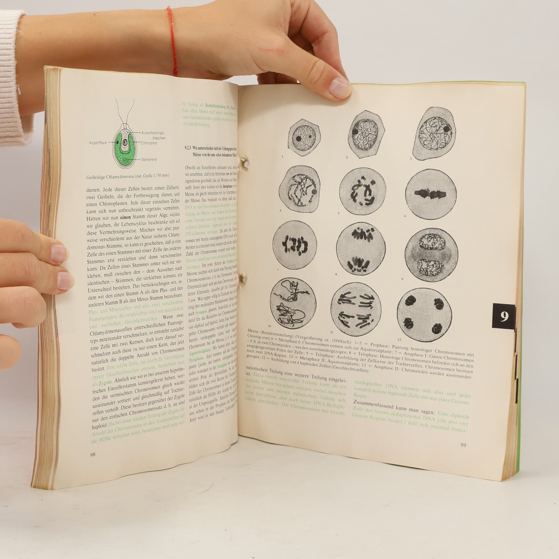Irene Dowald Biologie II
