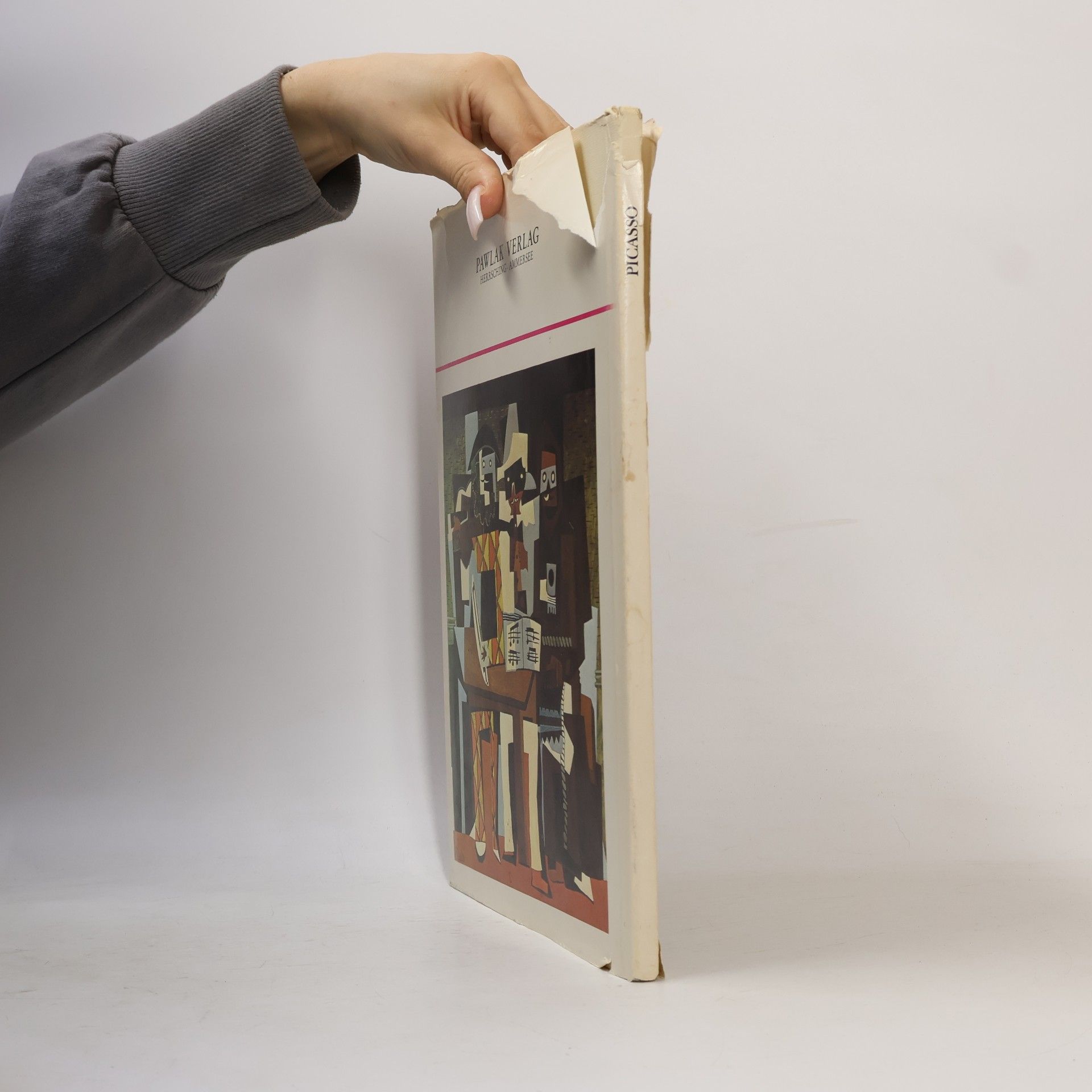 Roland Penrose Picasso mit 48 Farbtafeln