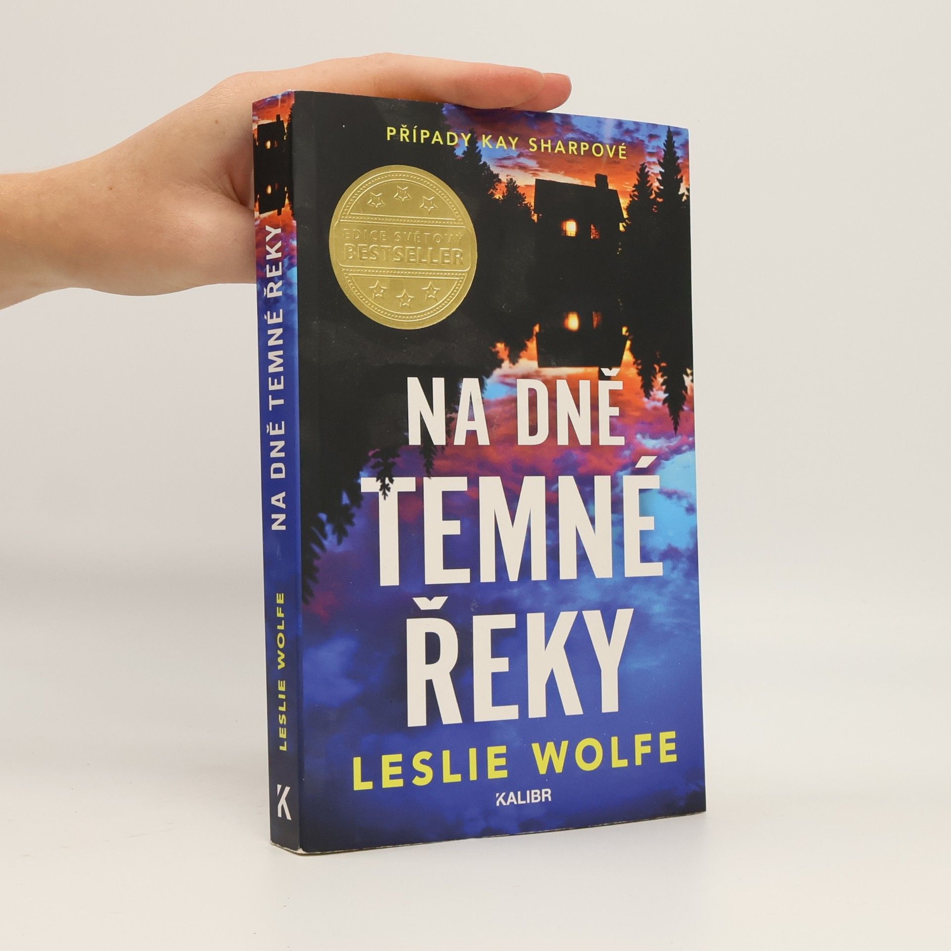 Leslie Wolfe Na dně Temné řeky