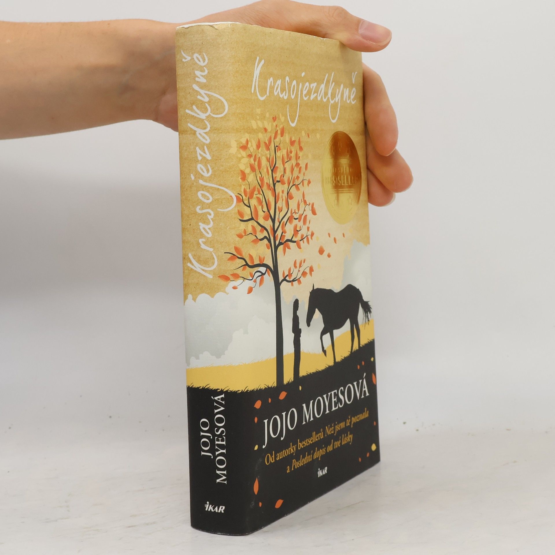 Jojo Moyes Krasojezdkyně