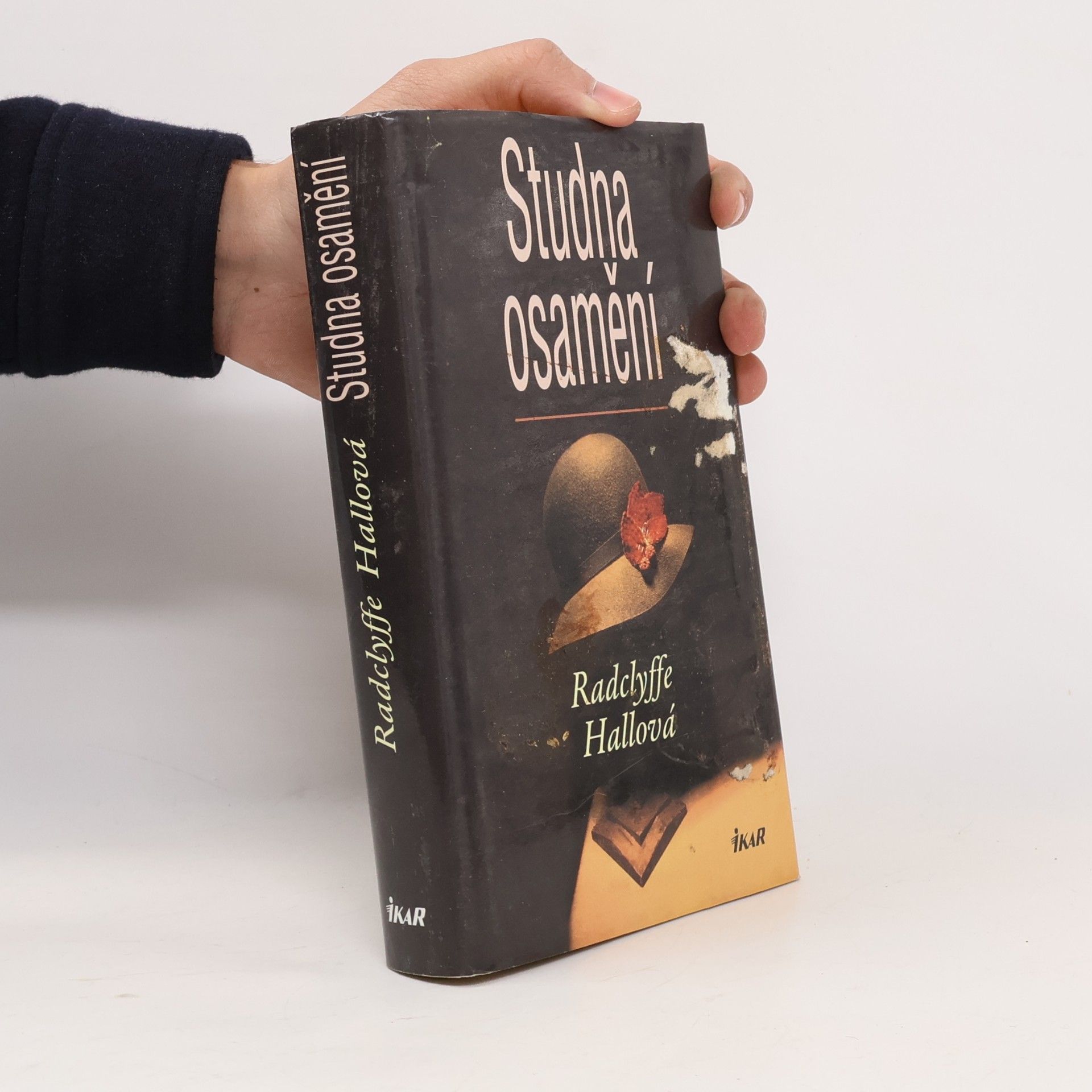 Radclyffe Hall Studna osamění