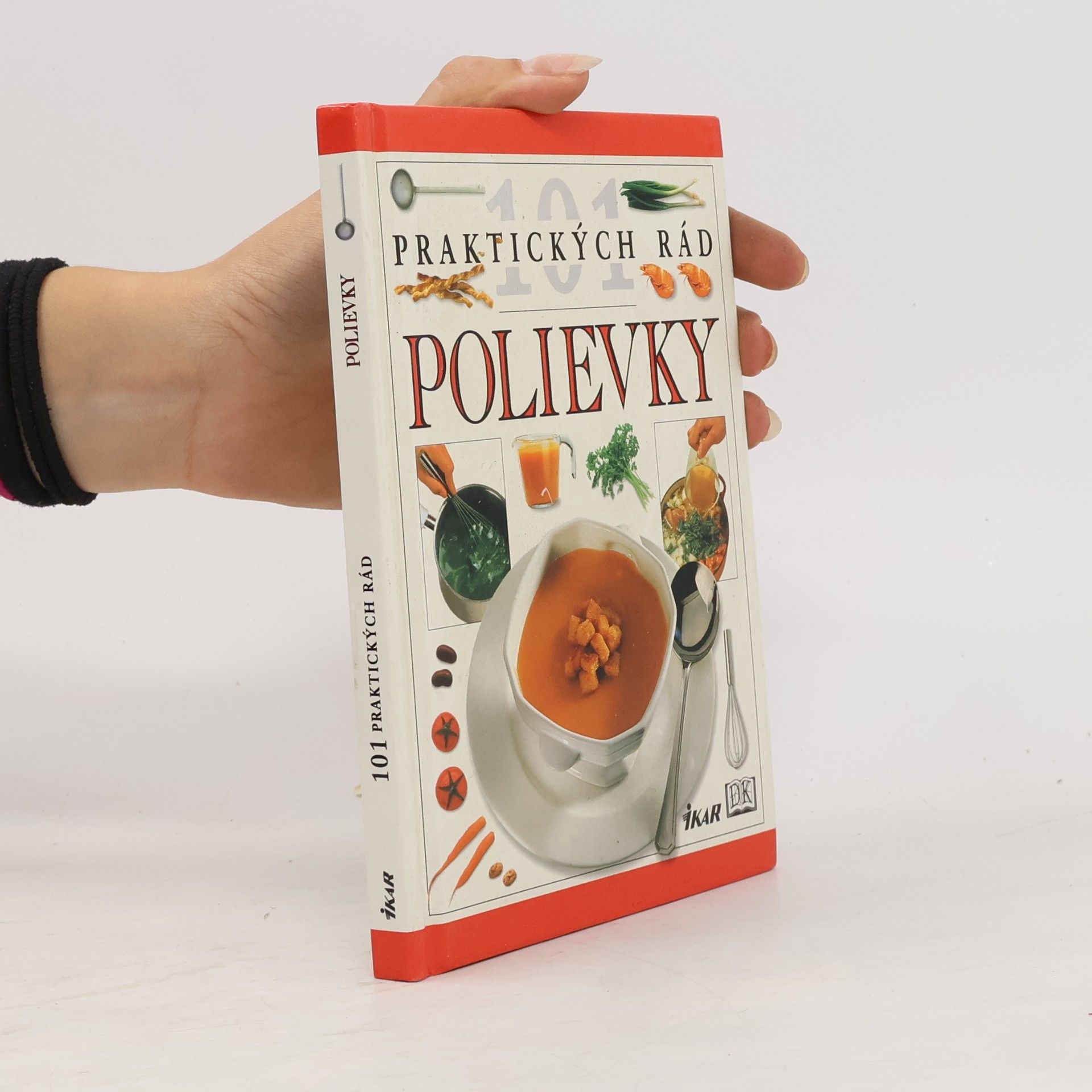 Anne Willan 101praktických rád polievky