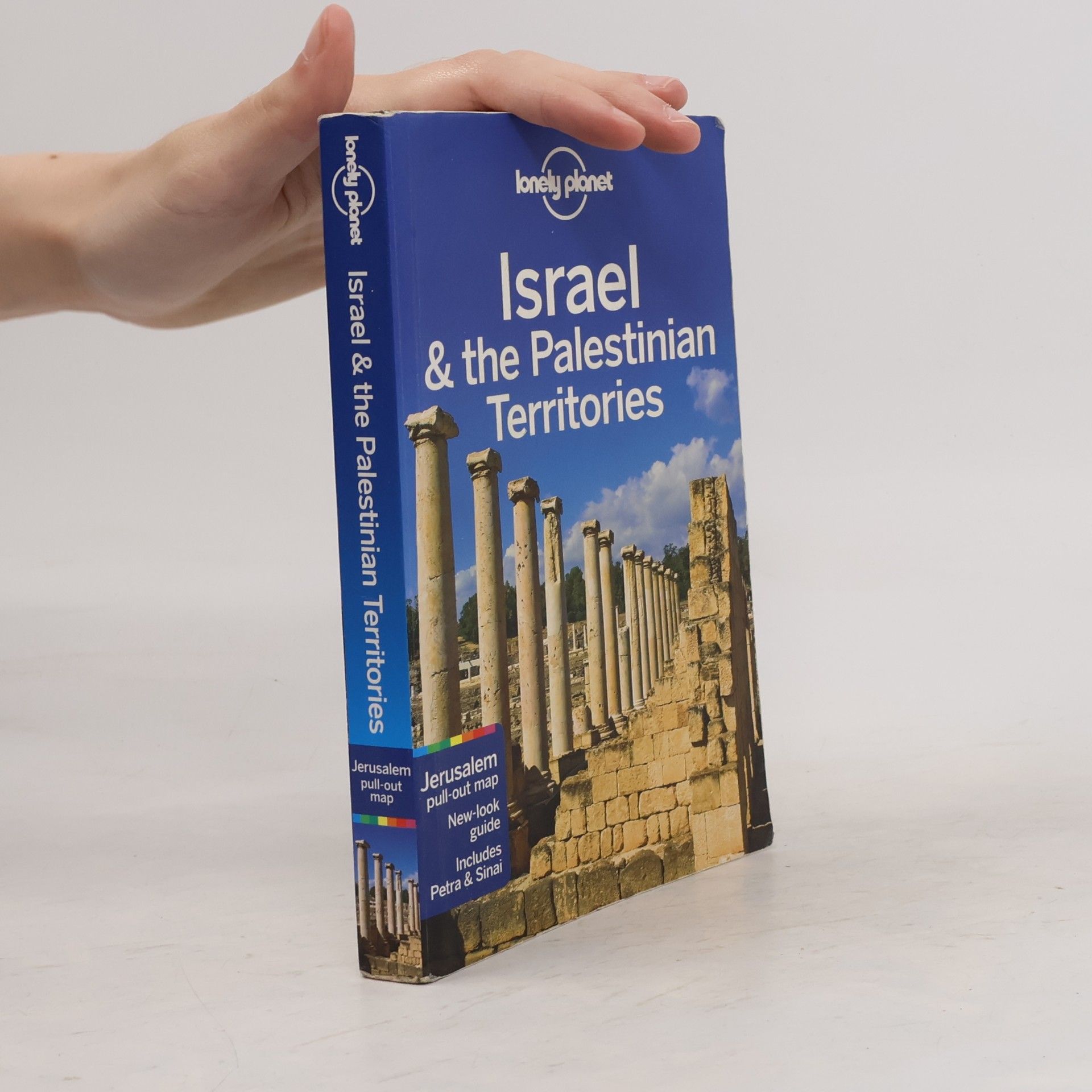 Daniel Robinson Israel & the Palestinian Territories.