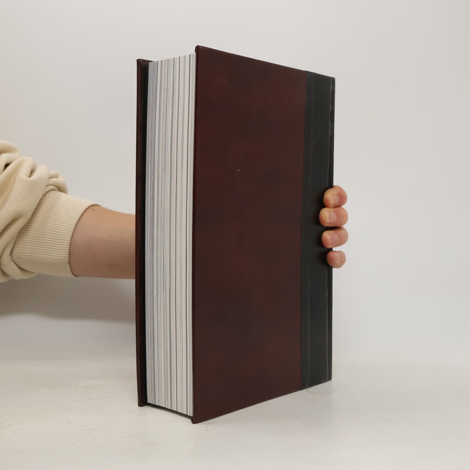 Neil Gaiman The Sandman Omnibus I