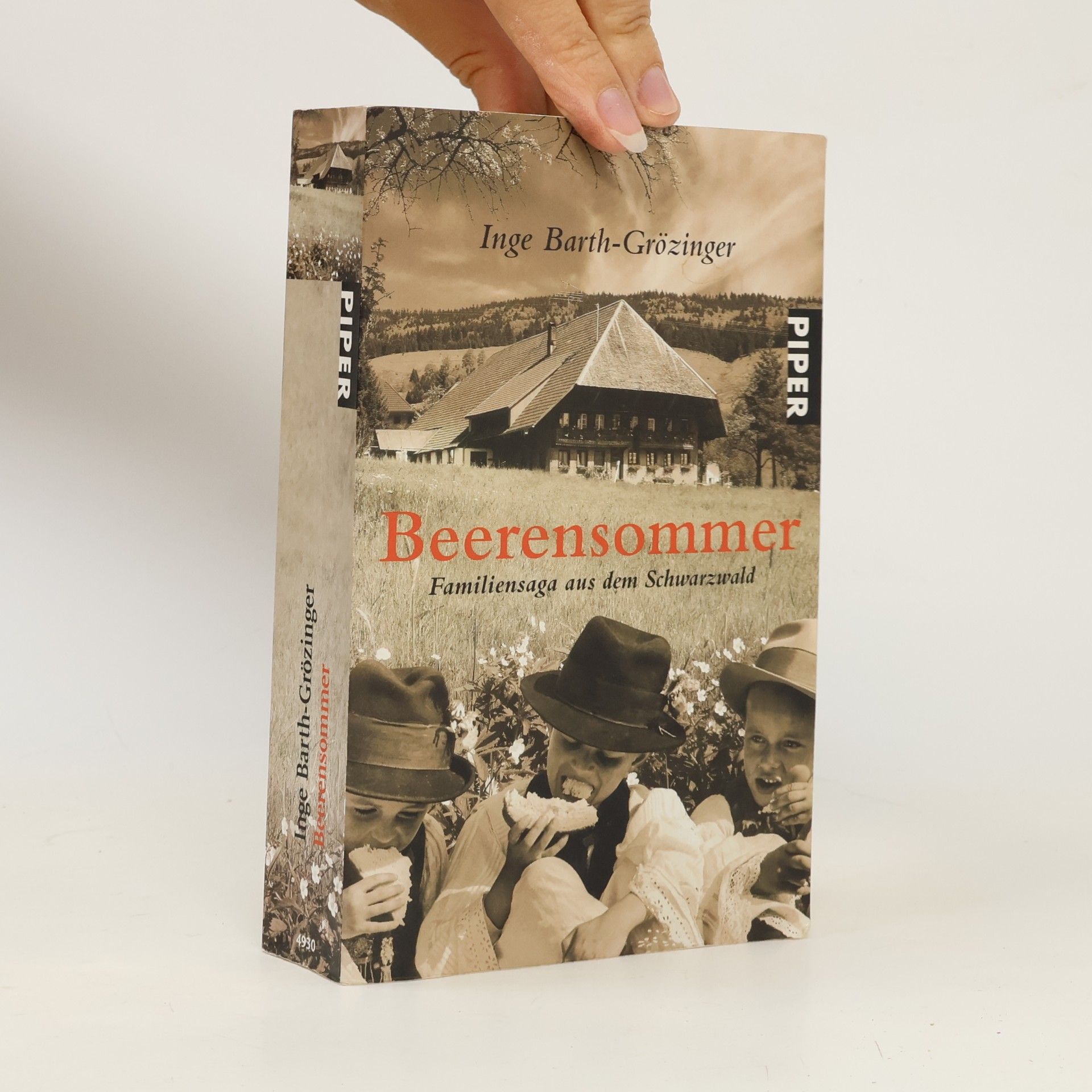 Inge Barth-Grözinger Beerensommer