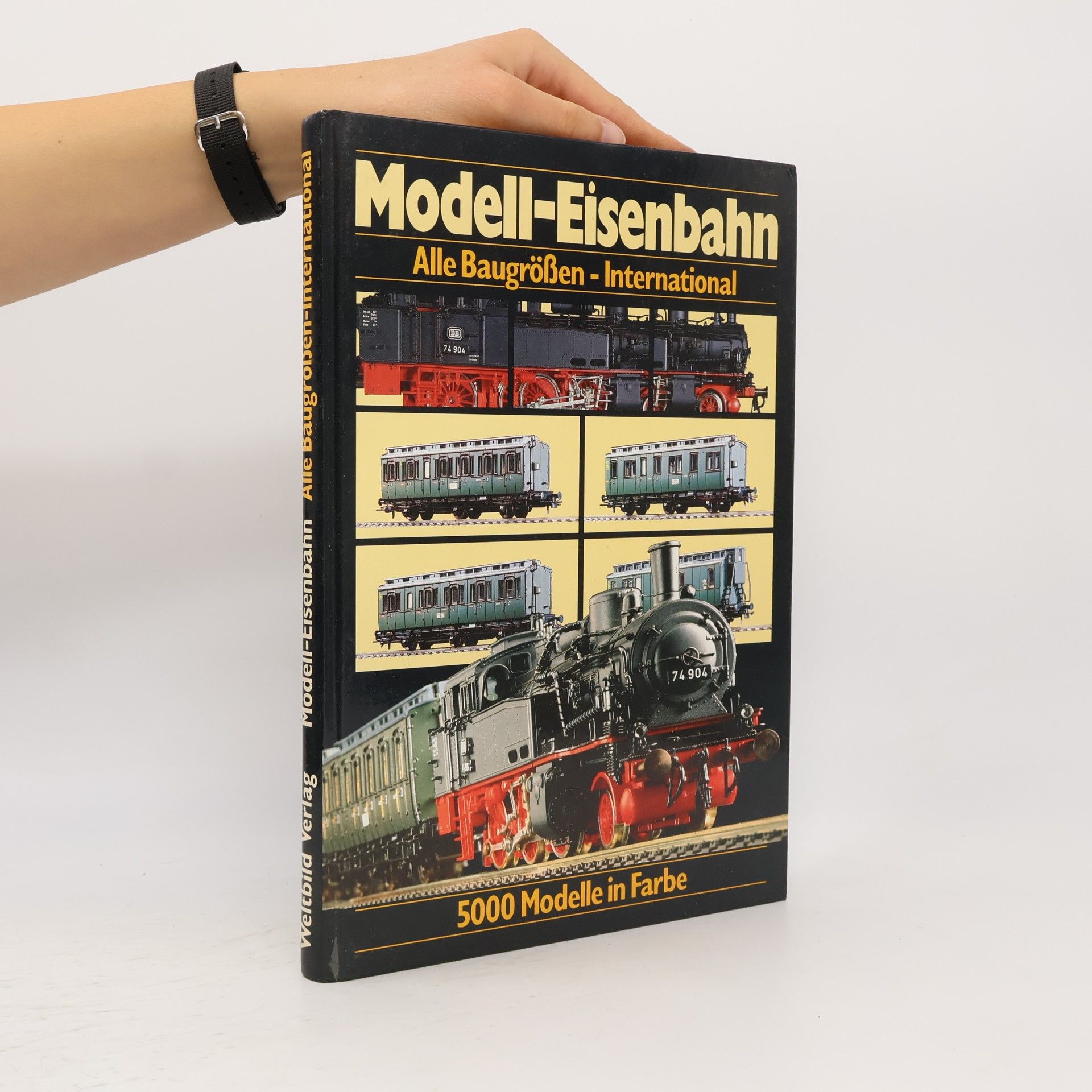 Kolektív autorov Modell-Eisenbahn: TT+N+Z- International