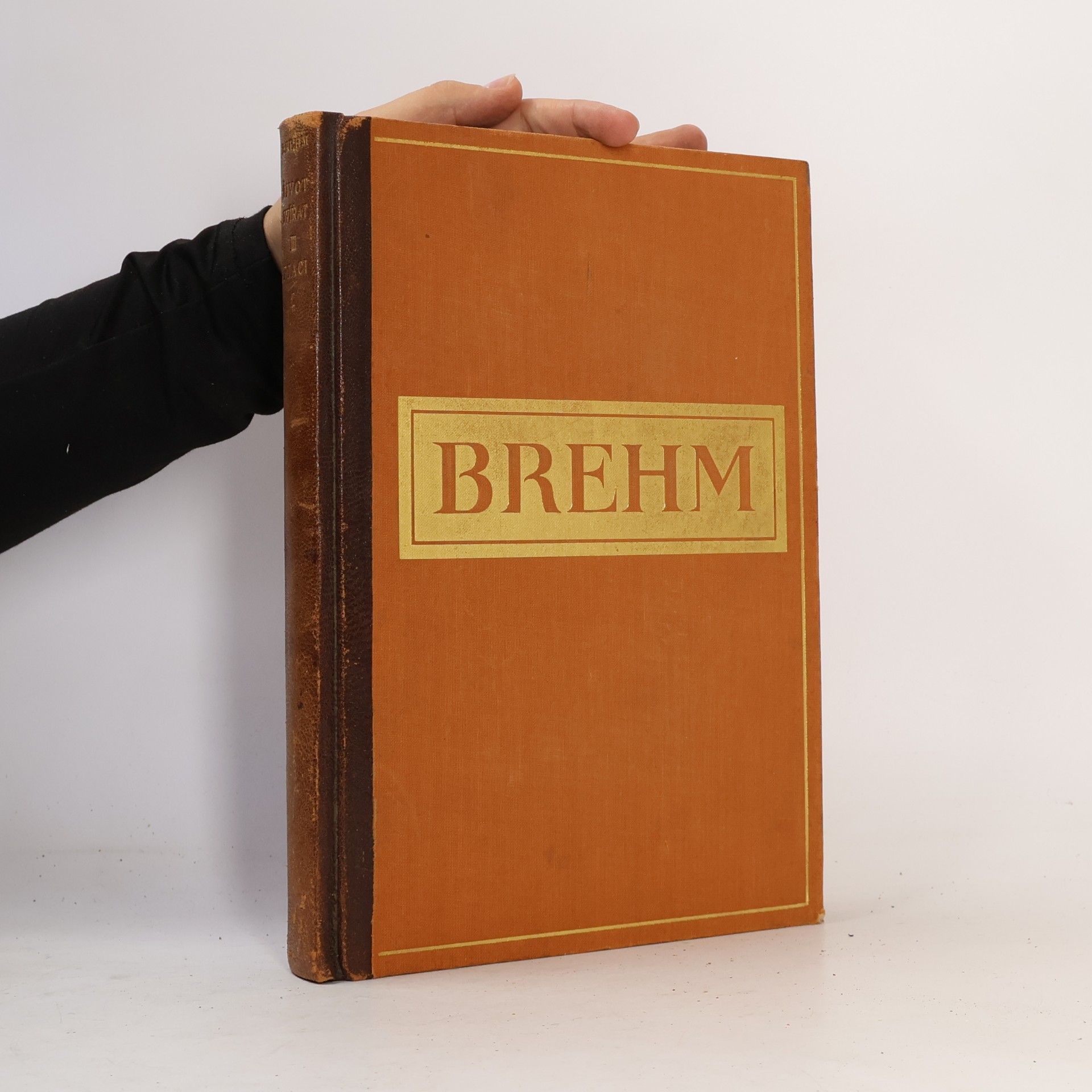 Autores varios Brehmův život zvířat III. Ptáci. Svazek II.