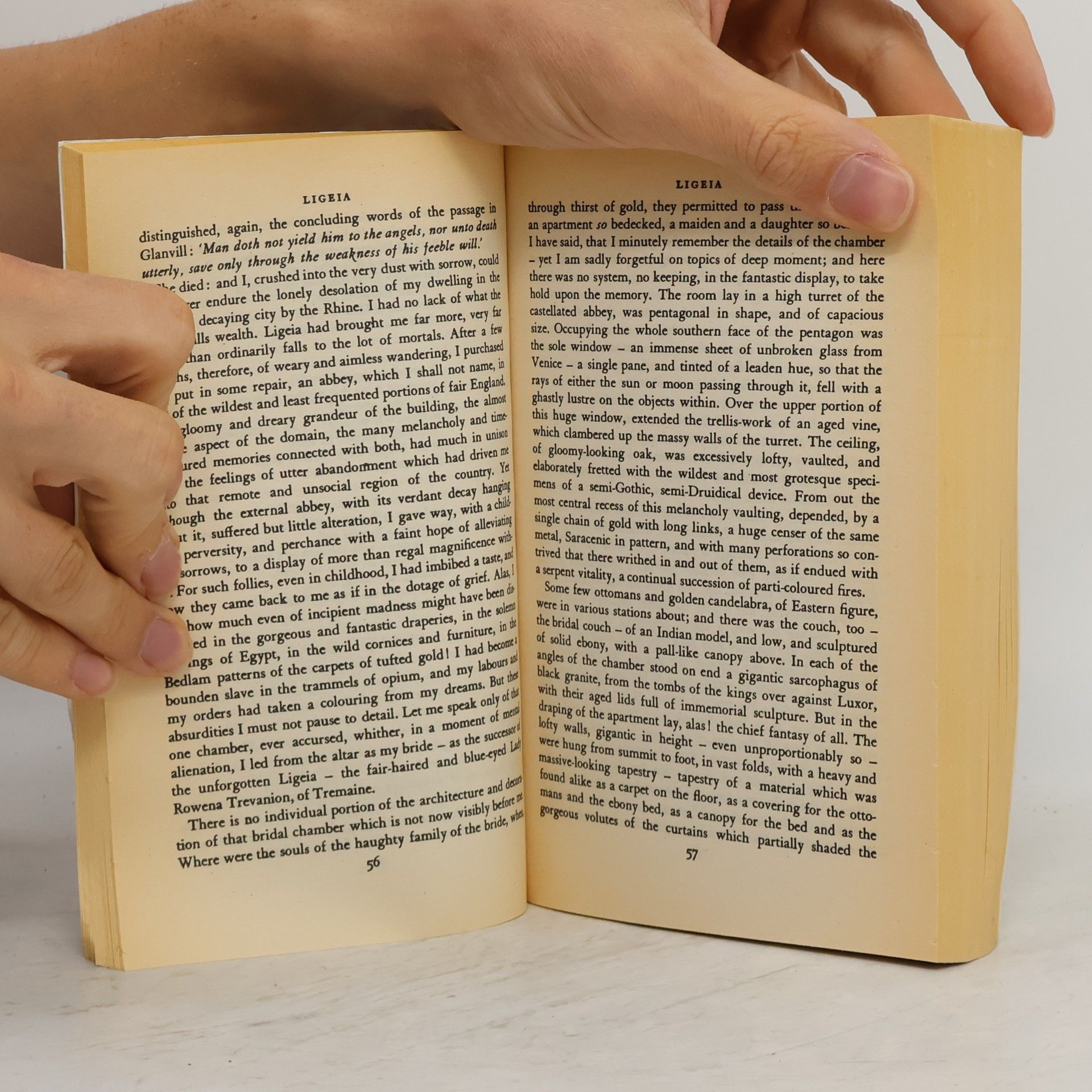 Edgar Allan Poe Selected Tales