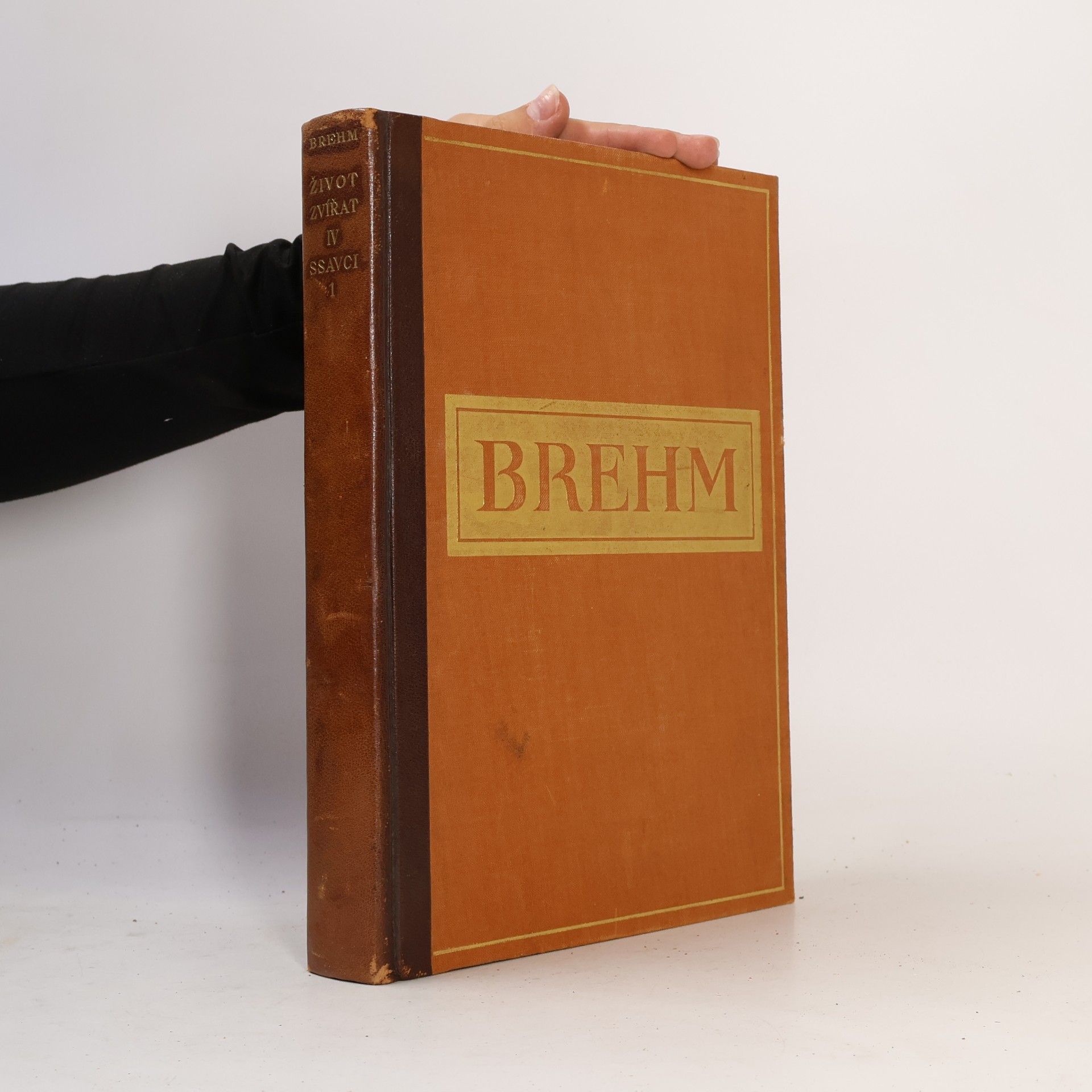 Alfred Edmund Brehm Brehmův život zvířat, díl IV., savci 1