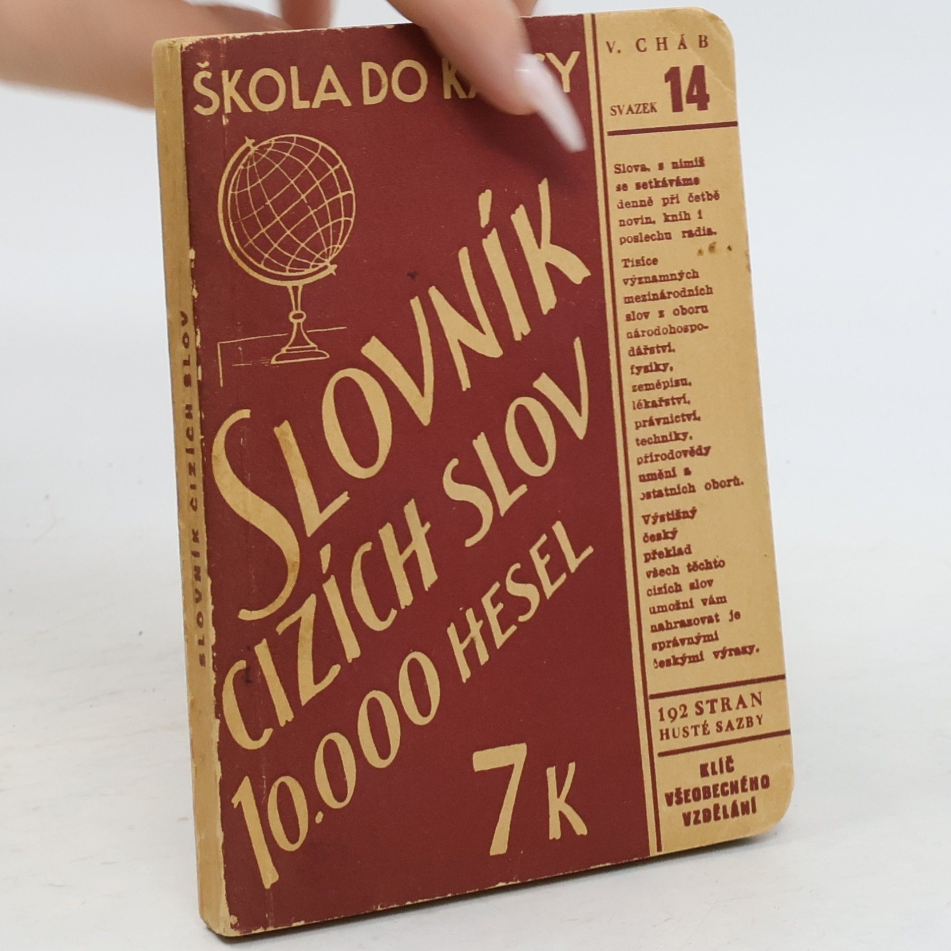 Škola do kapsy. Slovník cizích slov s 10 000 hesel
