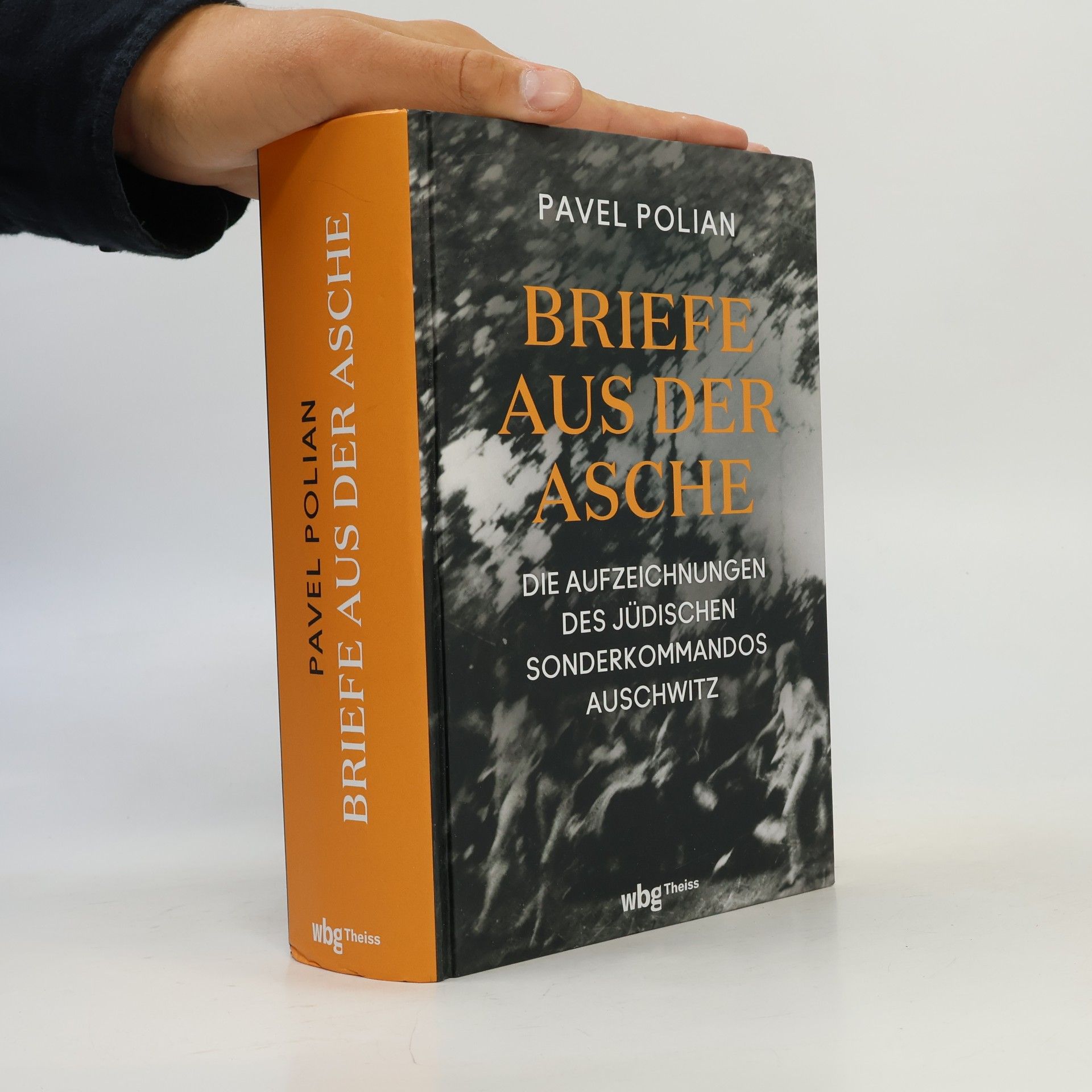 Briefe aus der Asche. Die Aufzeichnungen des jüdischen Sonderkommandos Auschwitz