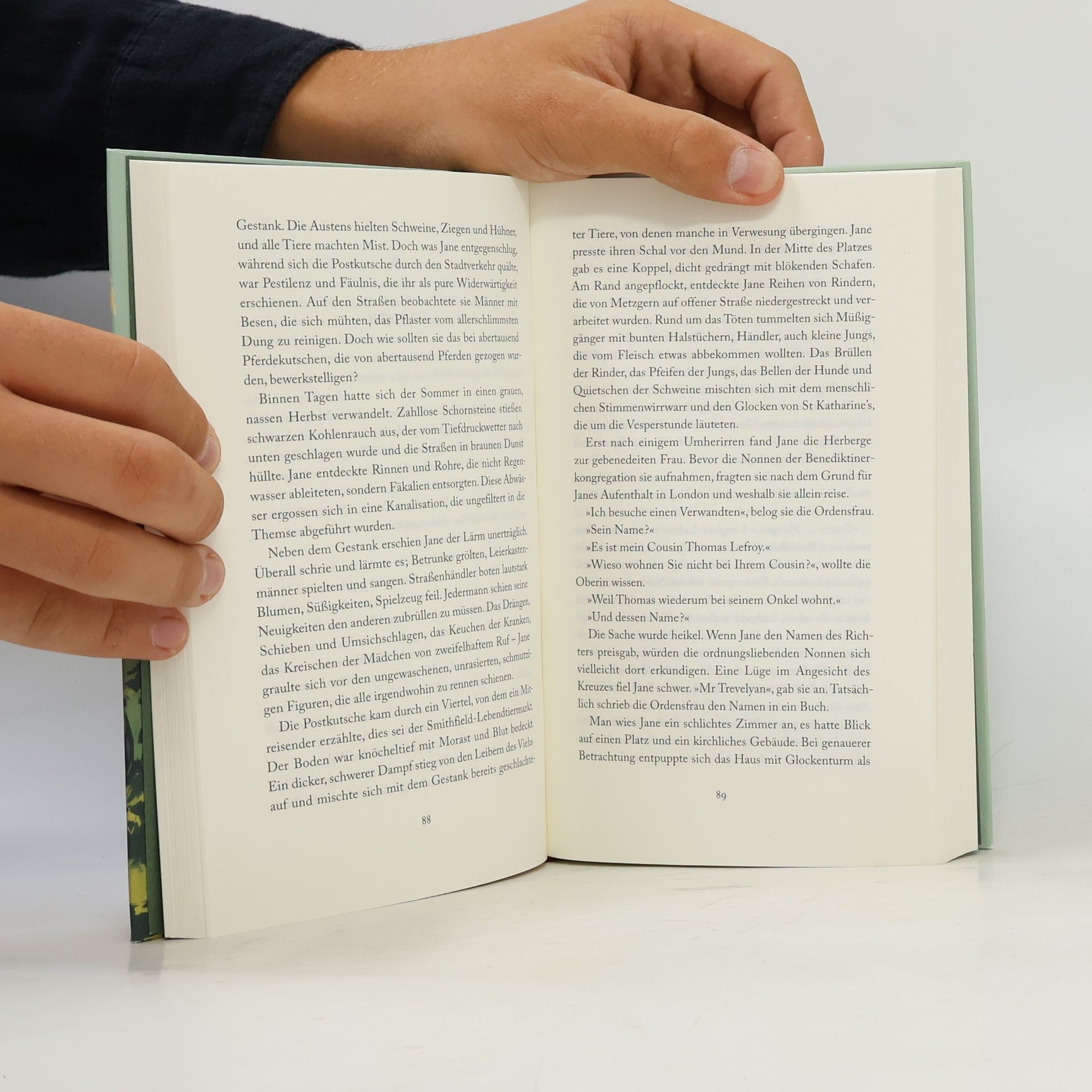 Maxine Wildner Jane Austen – Stolz und Leidenschaft