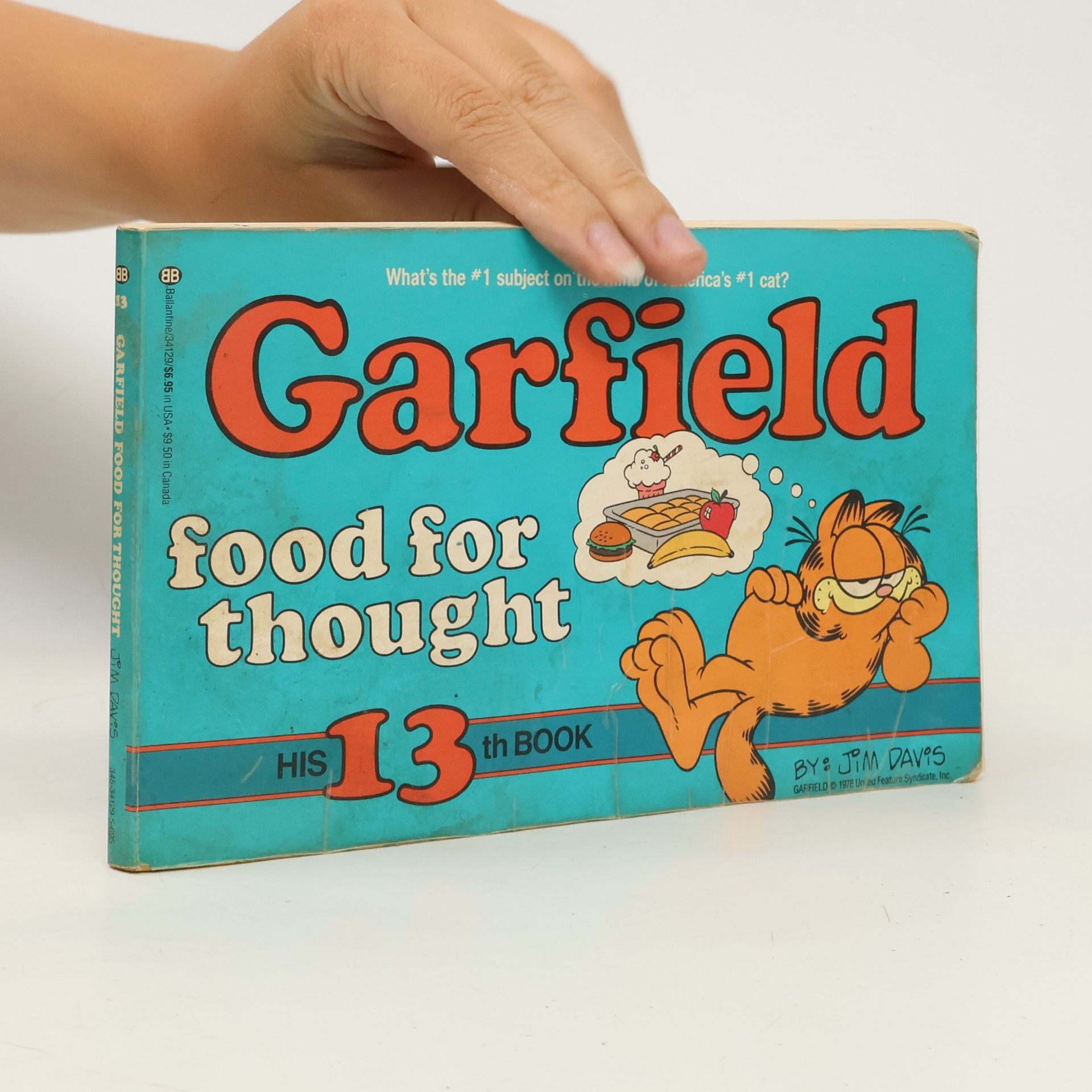 Jim Davis Garfield Food for Thought
