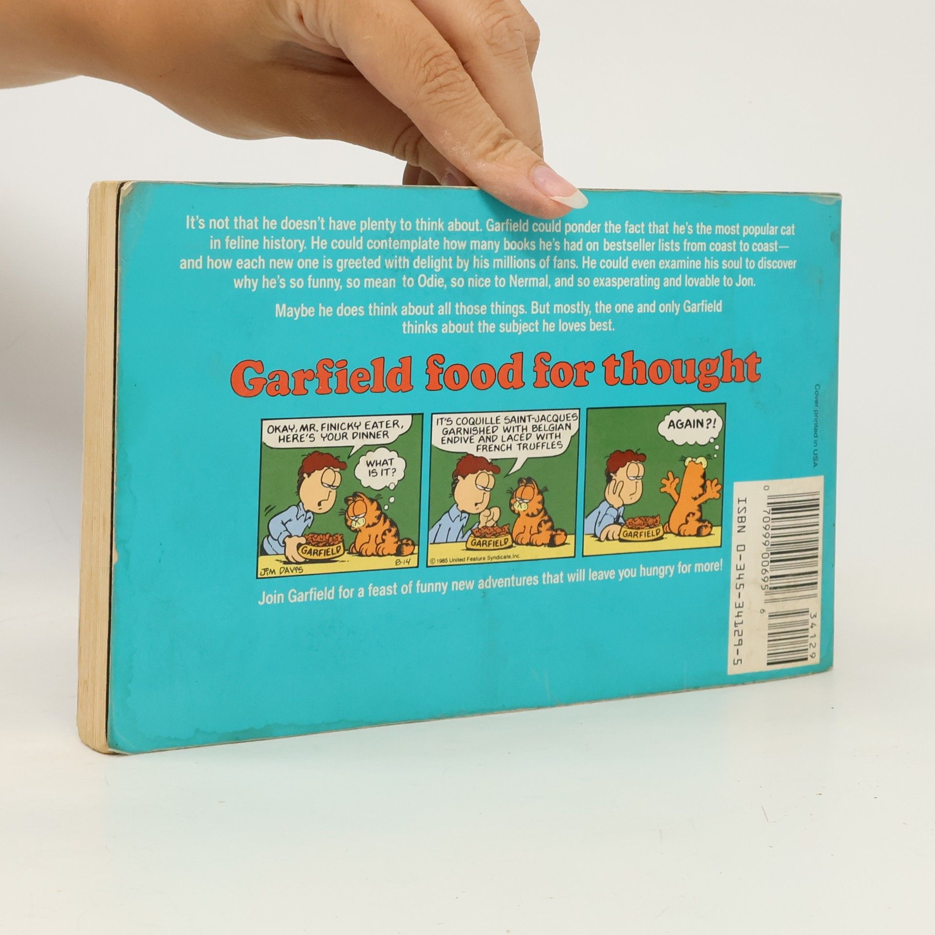 Jim Davis Garfield Food for Thought